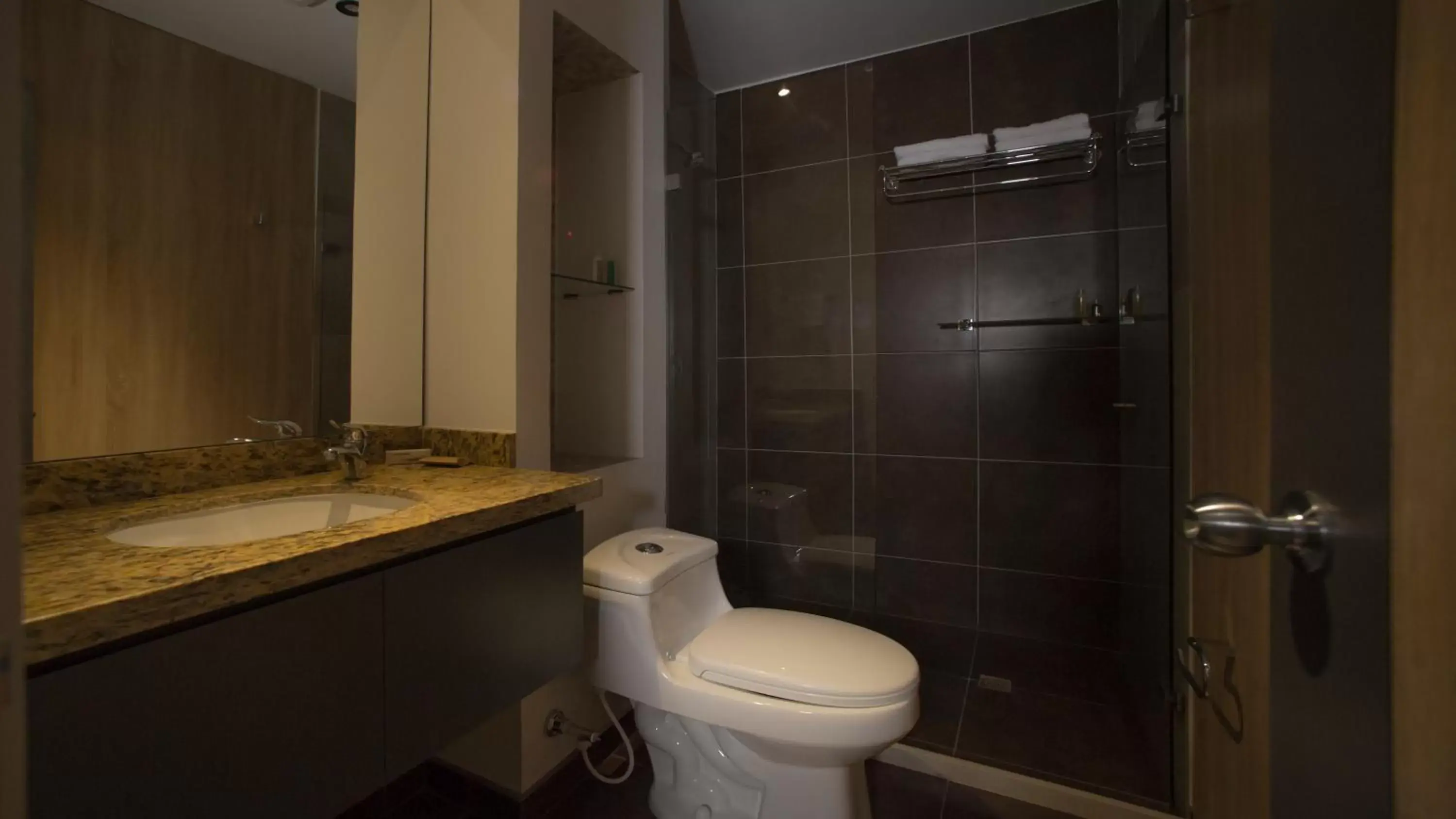 Toilet, Bathroom in Hotel Plaza del Lili