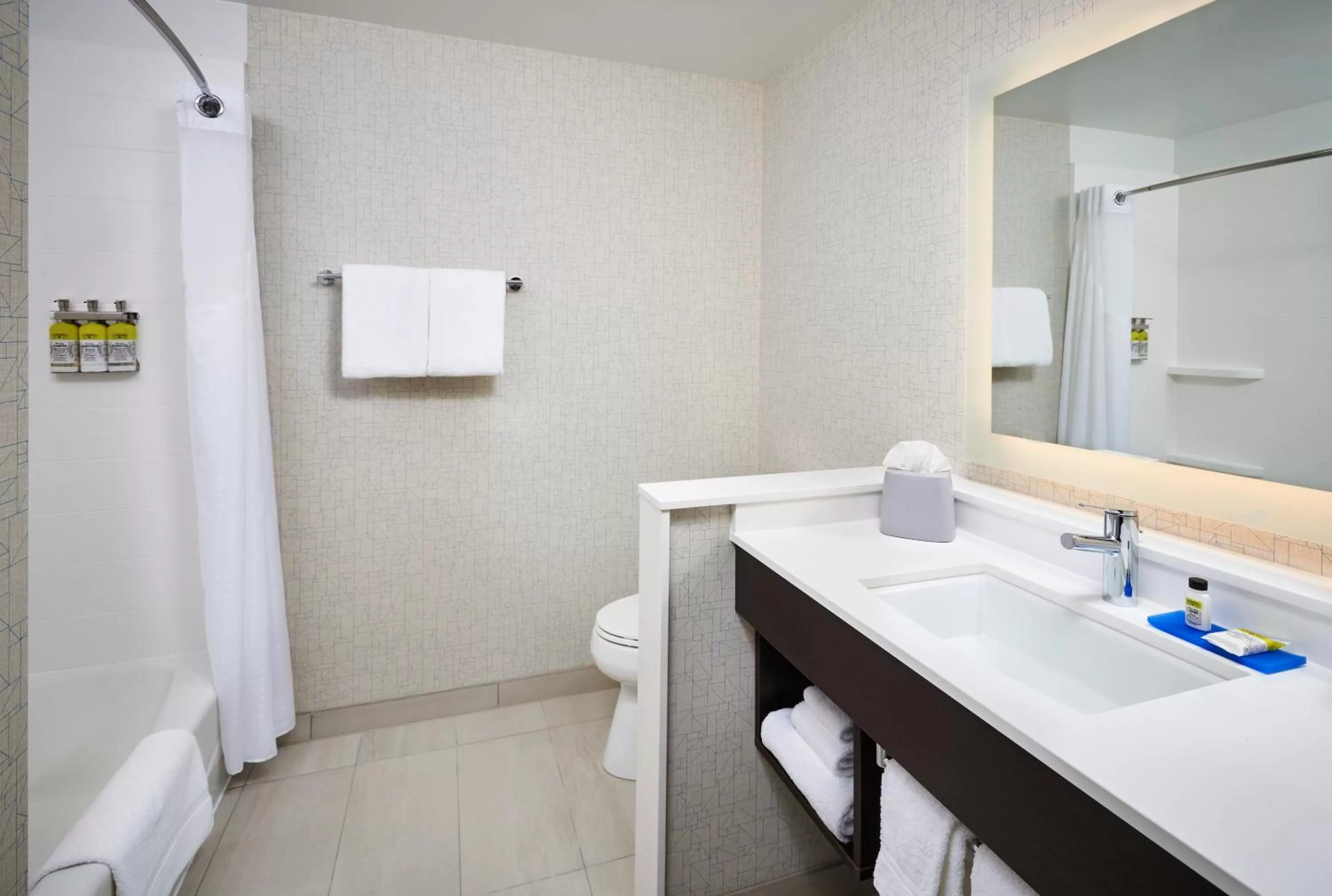 Bathroom in Holiday Inn Express & Suites Windsor East - Lakeshore by IHG