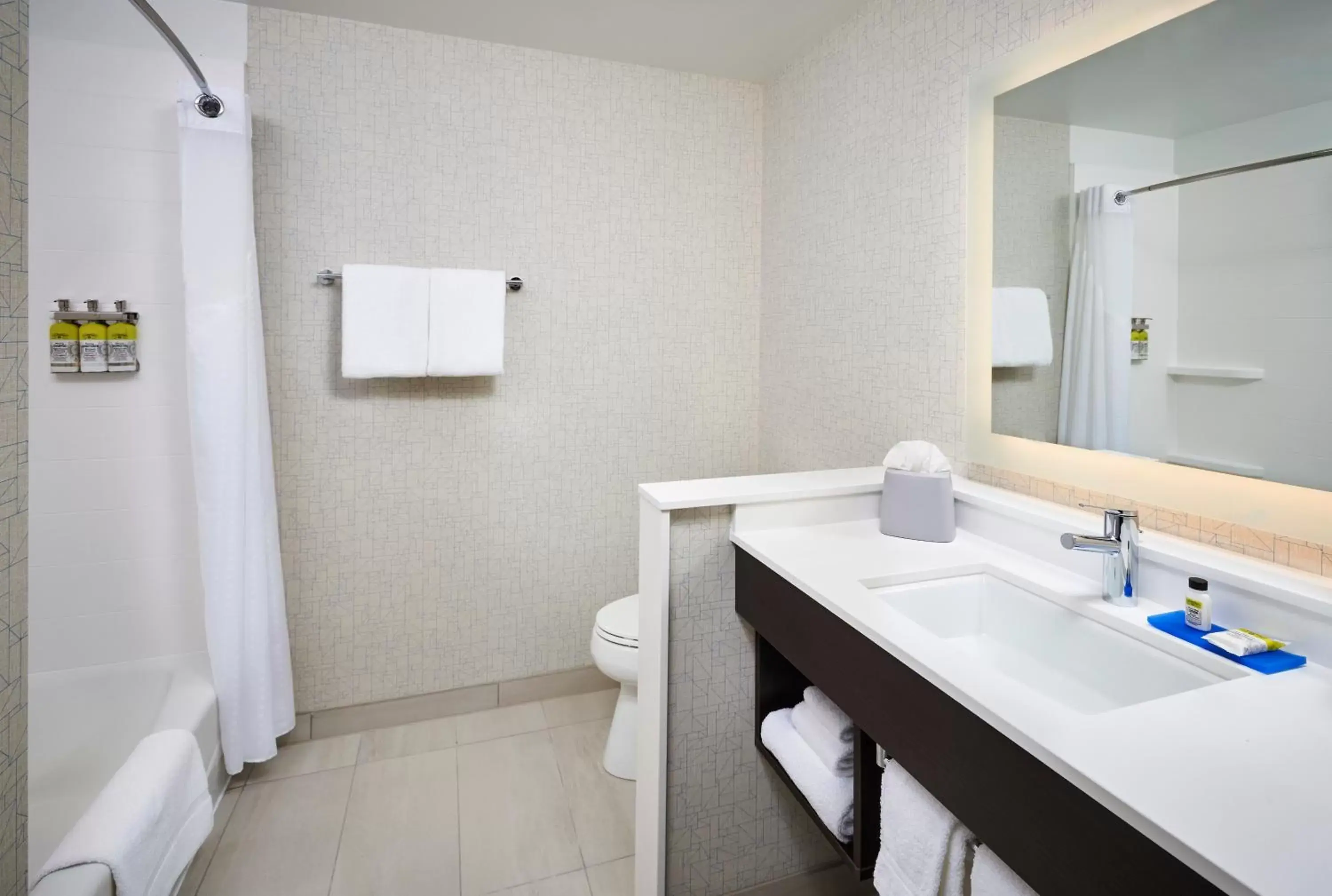 Bathroom in Holiday Inn Express & Suites Windsor East - Lakeshore, an IHG Hotel