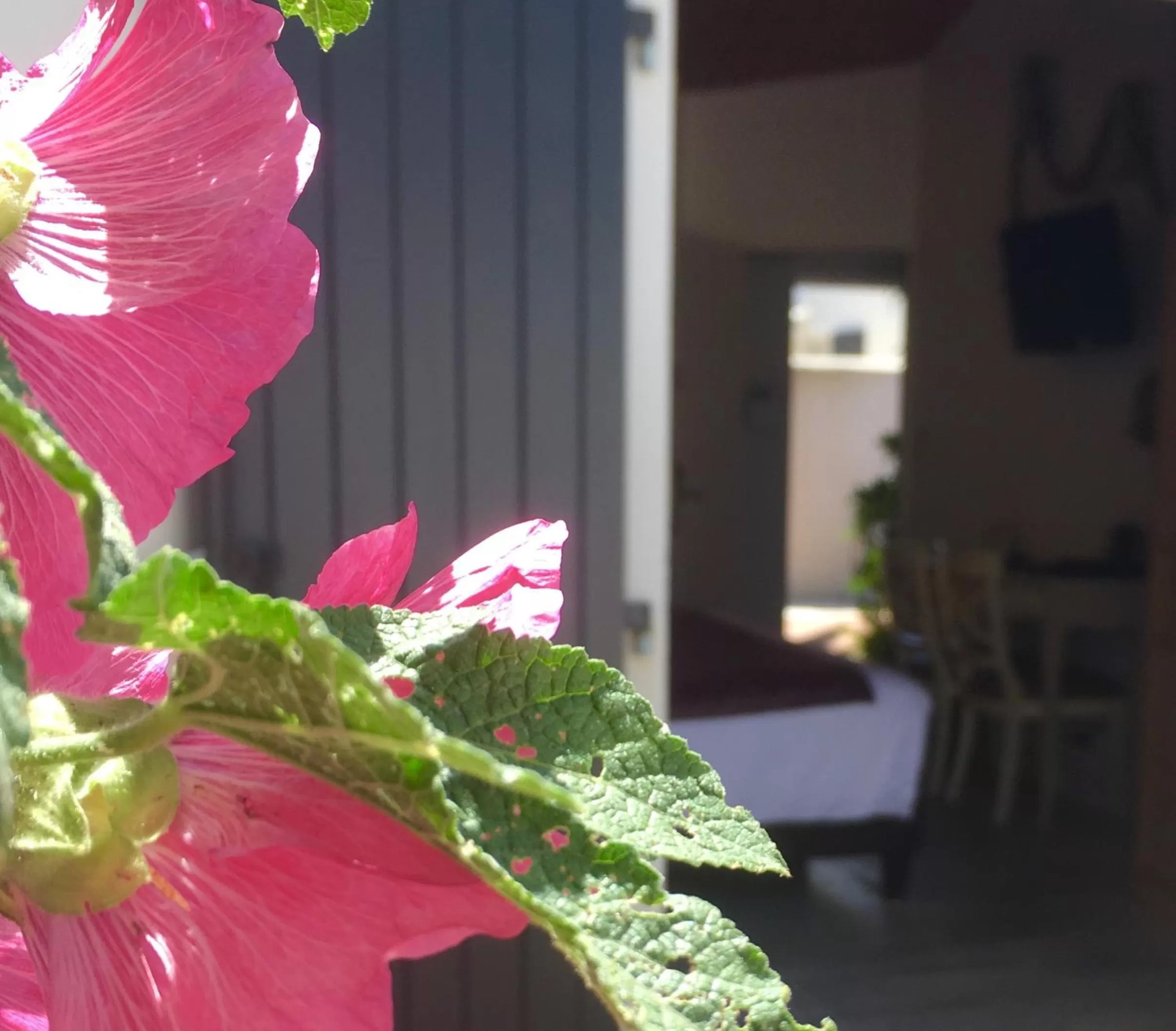 Balcony/Terrace in Hôtel Restaurant & Spa Plaisir