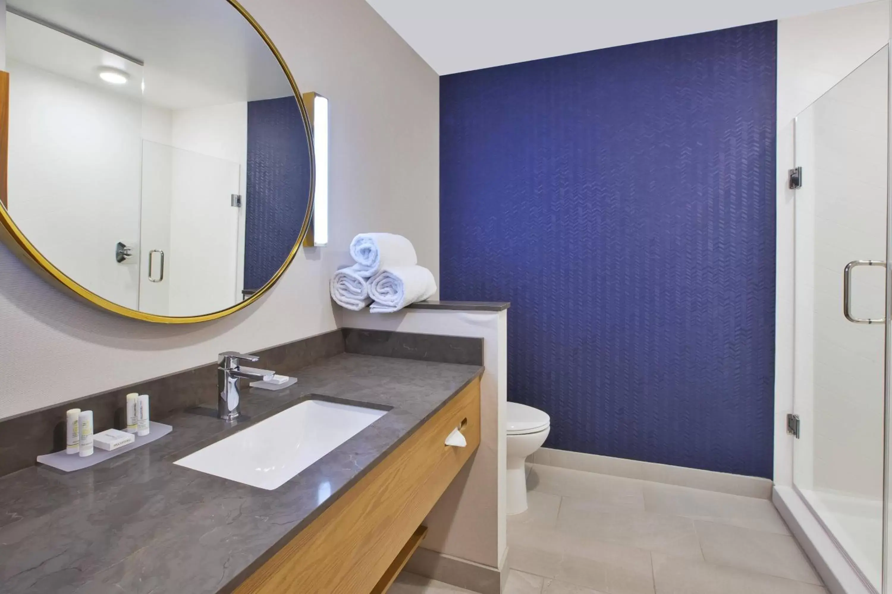 Bathroom in Fairfield Inn & Suites by Marriott Flint Grand Blanc