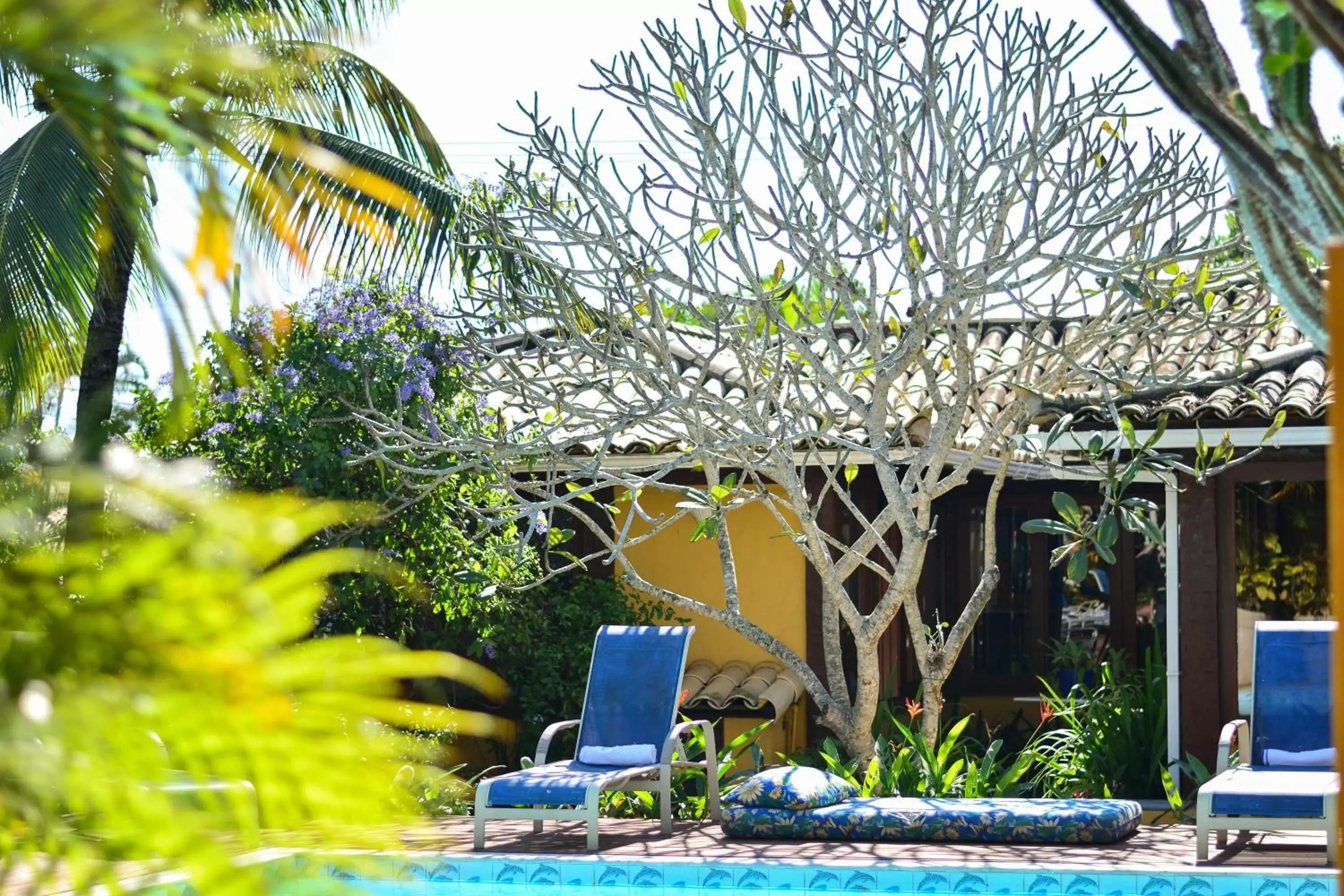 Pool view, Garden in Pousada do Namorado