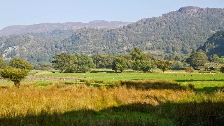 Natural landscape in Borrowdale Gates Hotel