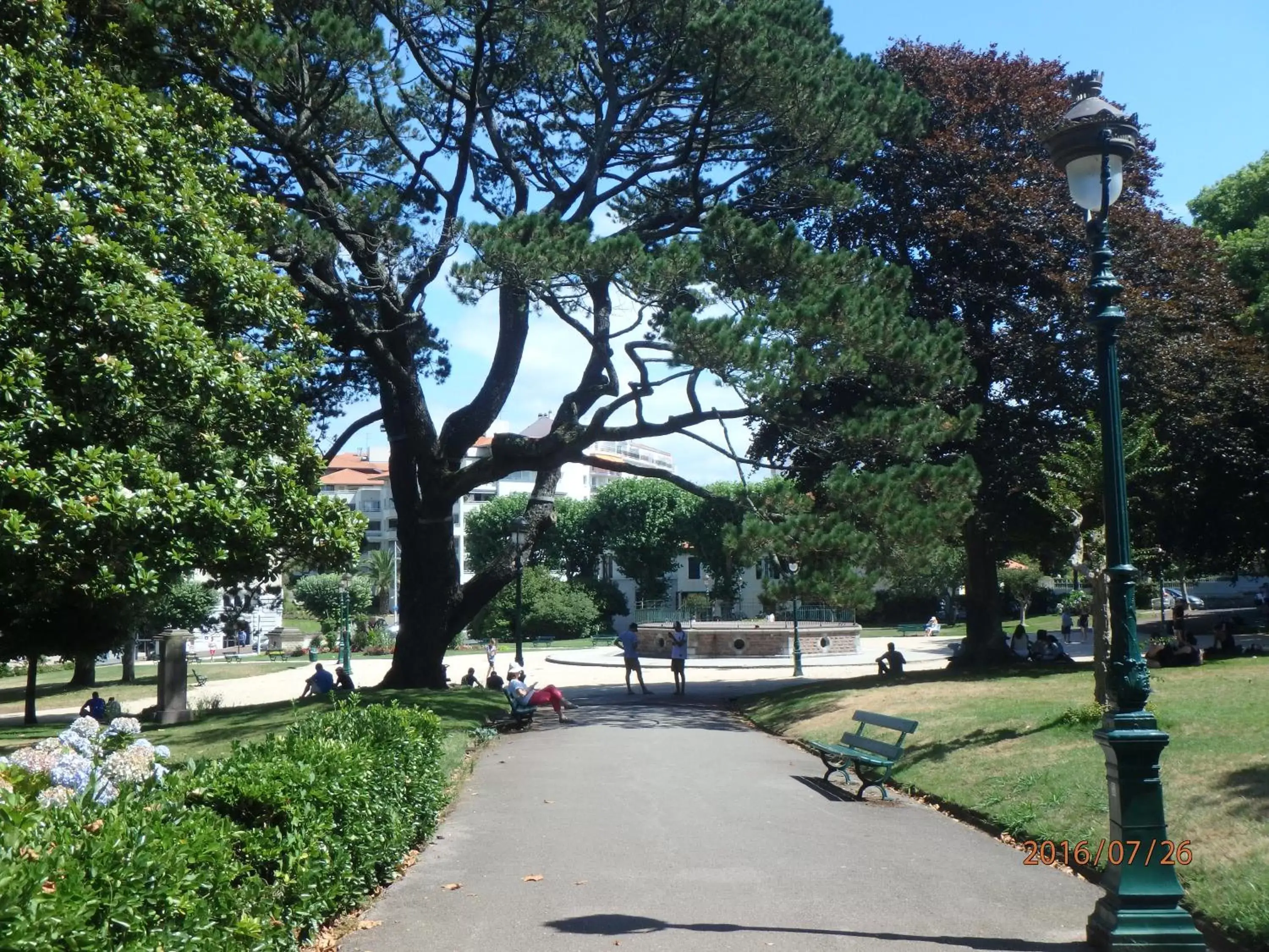 Natural landscape, Garden in Hôtel & Espace Bien-être La Maison du Lierre