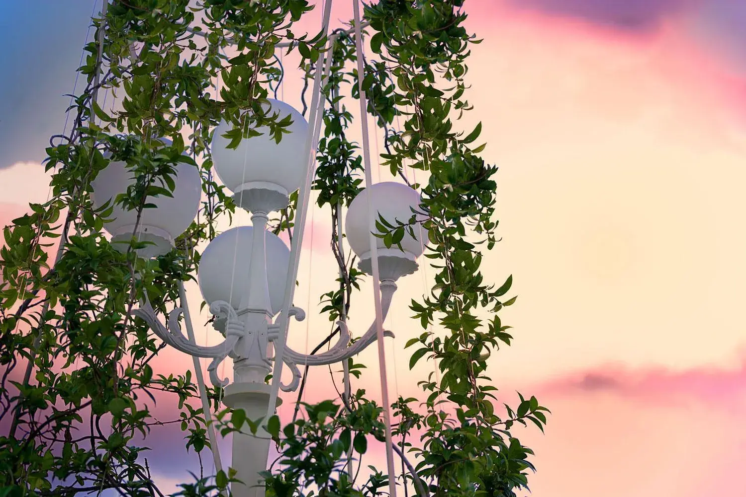 Garden view in Villa La Fenice