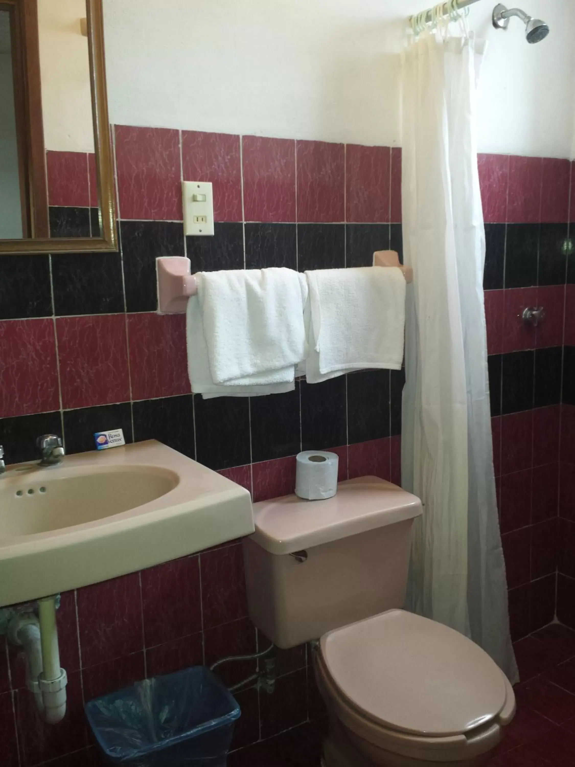 Shower, Bathroom in Hotel Doralba Inn