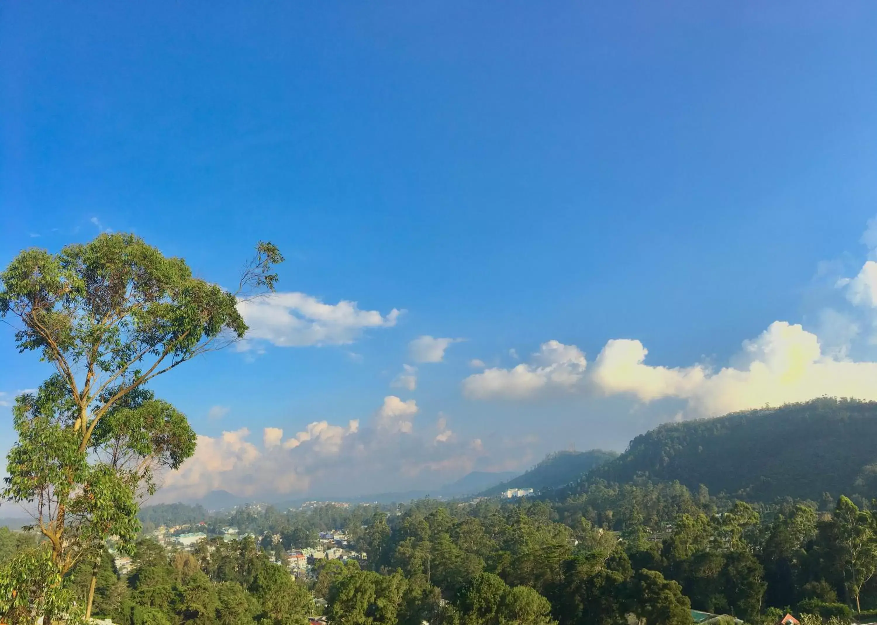 Double Room with Mountain View in travellers nest inn Double Room with Mountain View in travellers nest inn