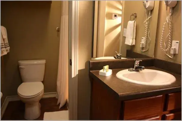 Bathroom in Eagle's Den Suites in Three Rivers