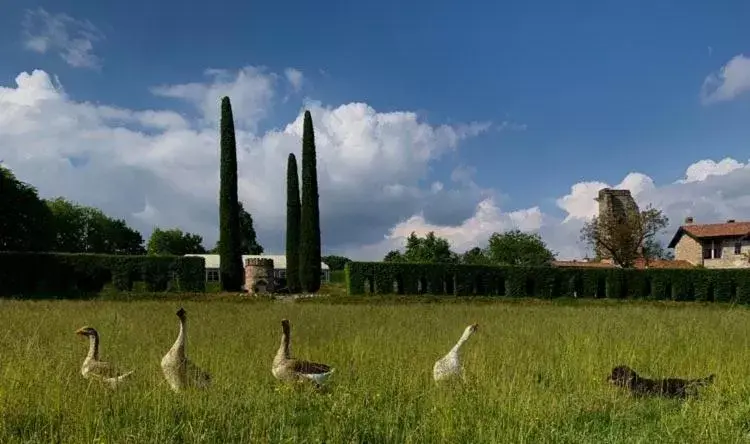 Garden, Other Animals in Castello di Cernusco Lombardone