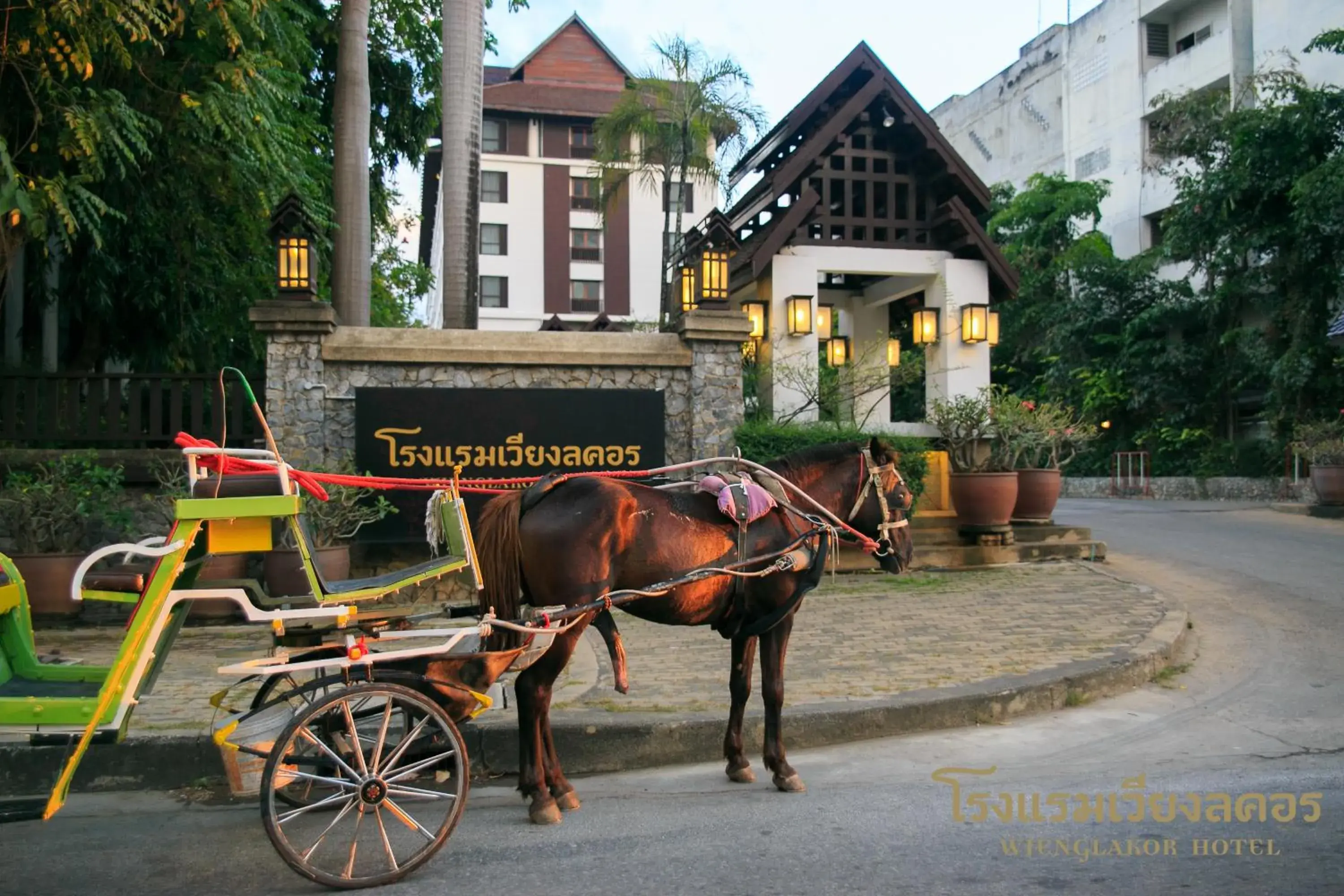 Activities in Wienglakor Hotel (SHA Extra Plus)