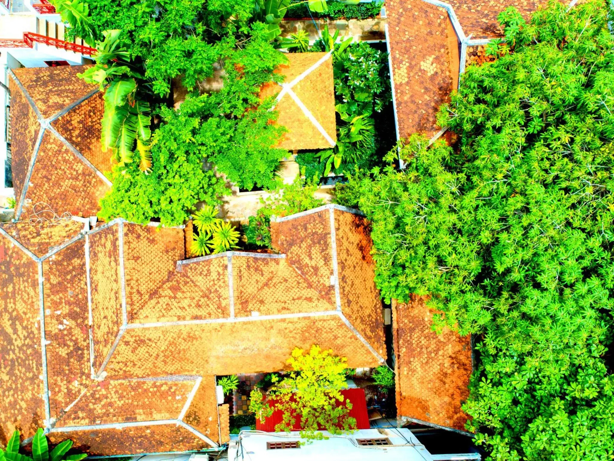 Garden in Residence Wat Damnak