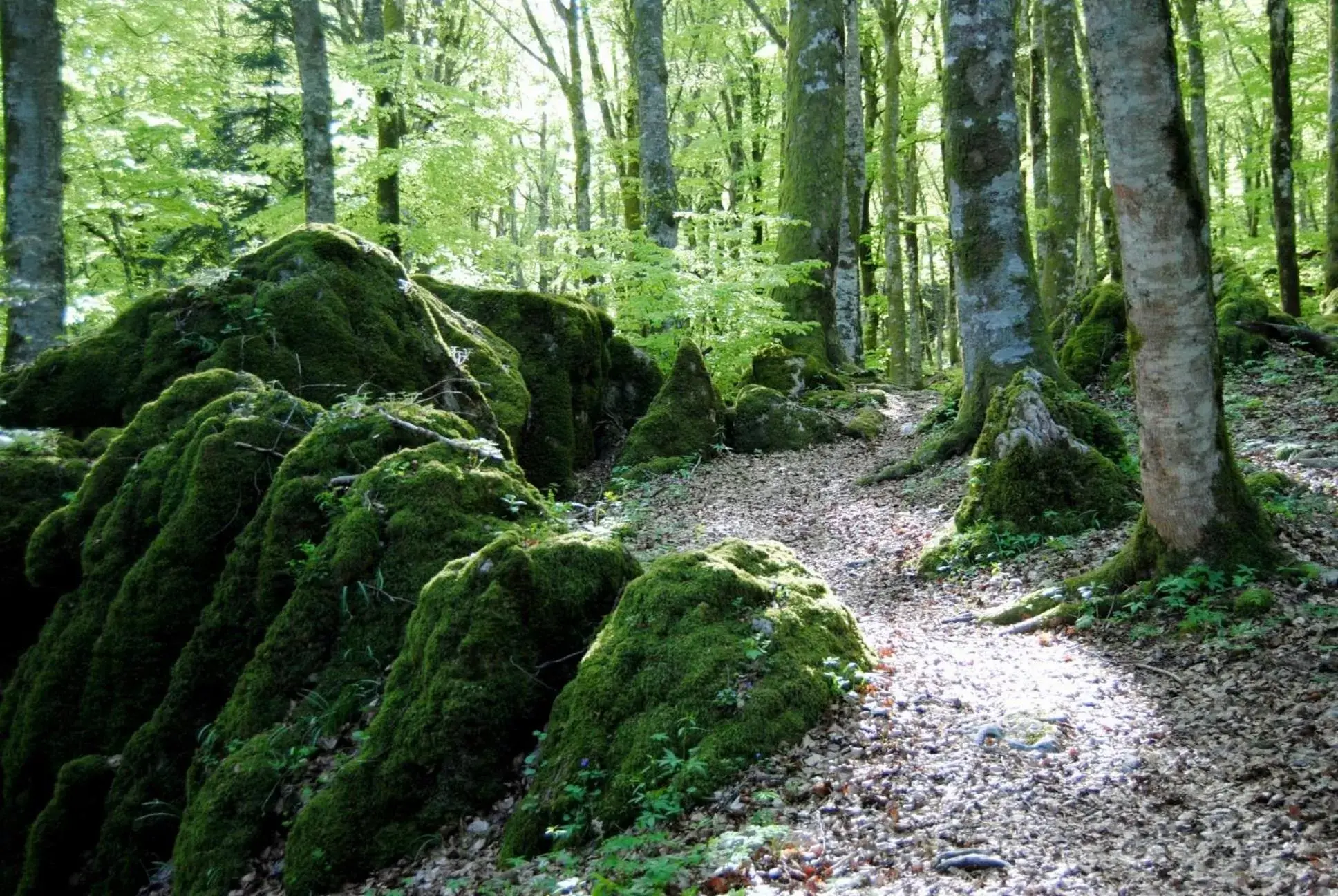 Natural landscape in B&B BORGHI