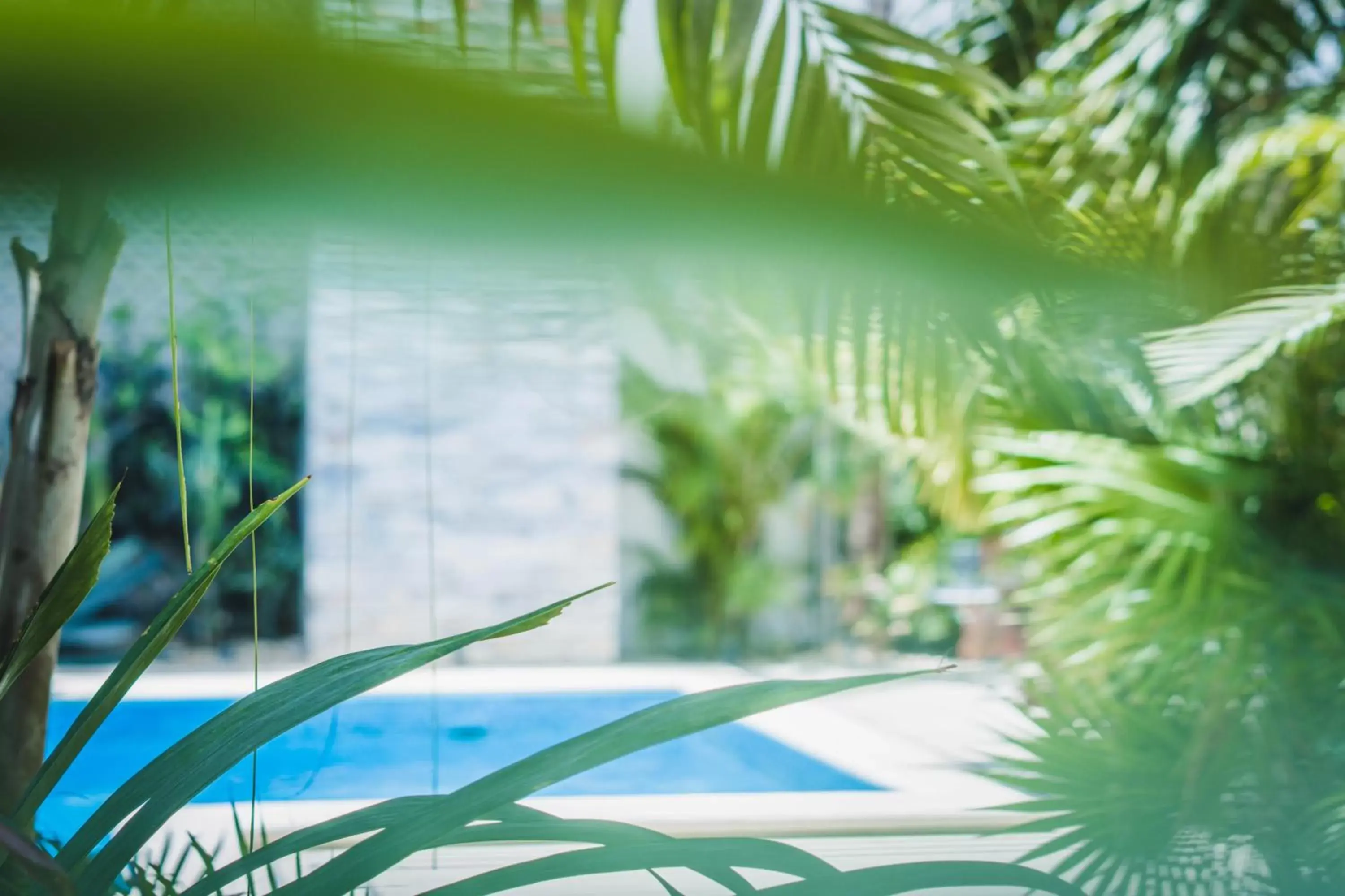 Swimming Pool in Elements Tulum Boutique Hotel