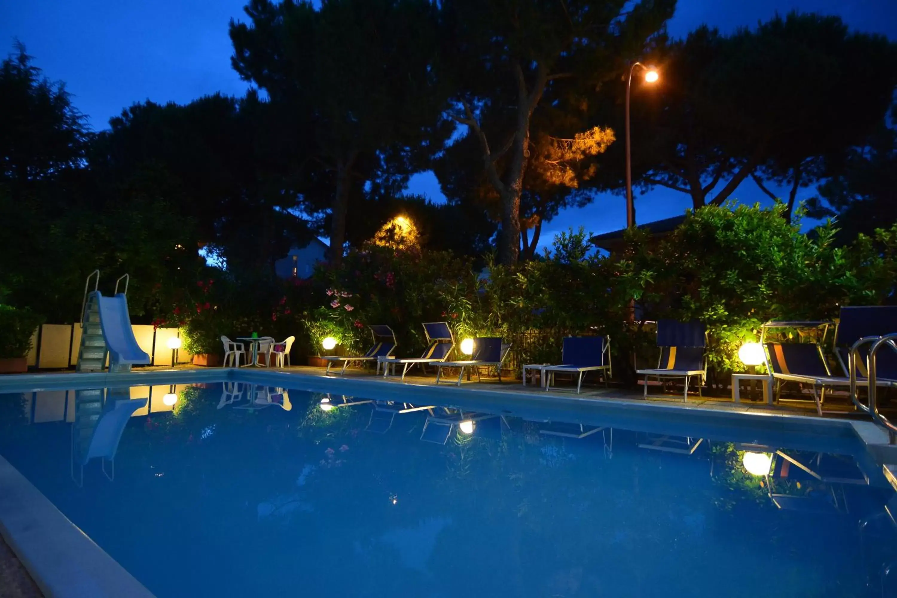 Swimming Pool in Hotel Zani