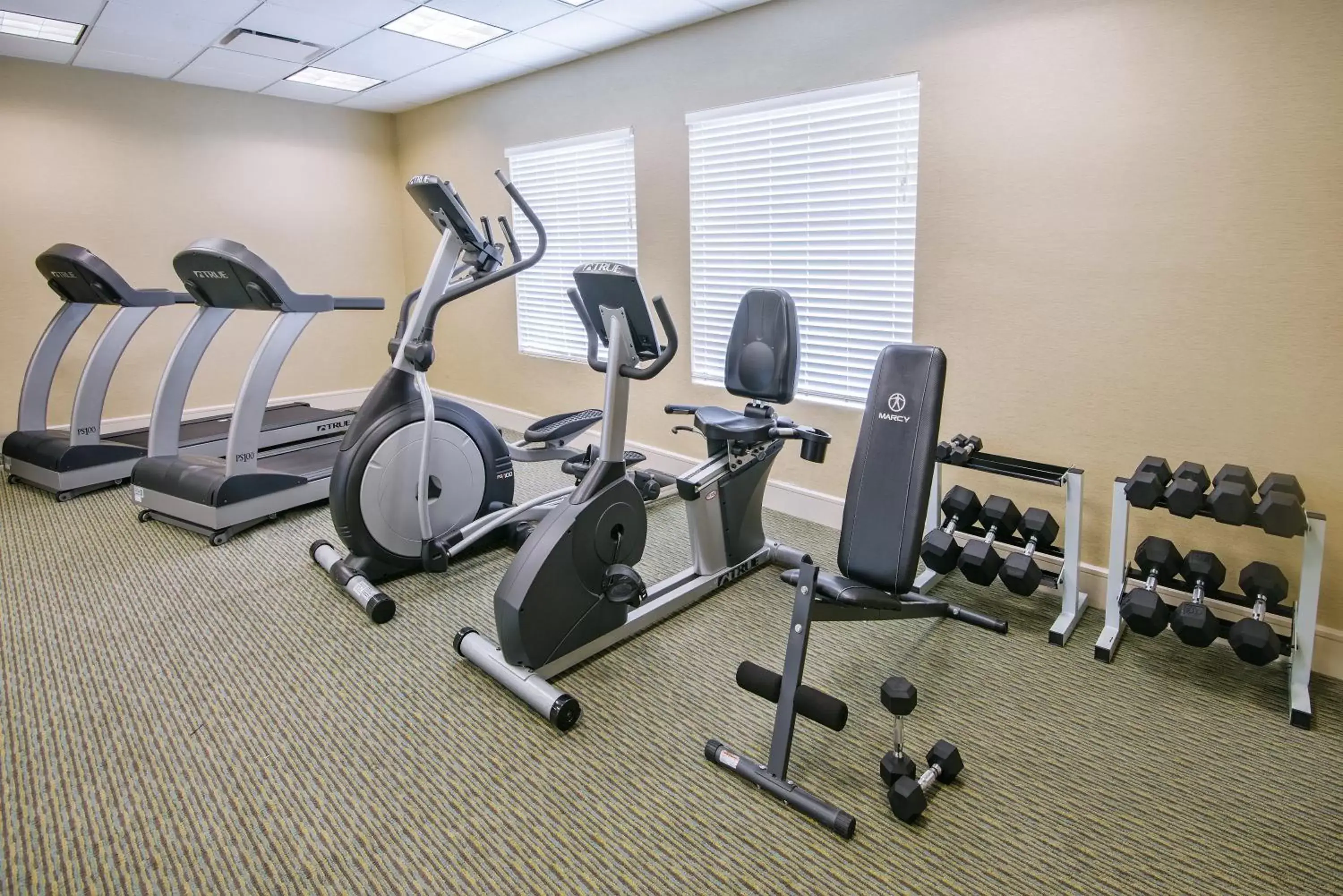 Fitness centre/facilities, Fitness Center/Facilities in Holiday Inn Hotel Dallas DFW Airport West, an IHG Hotel