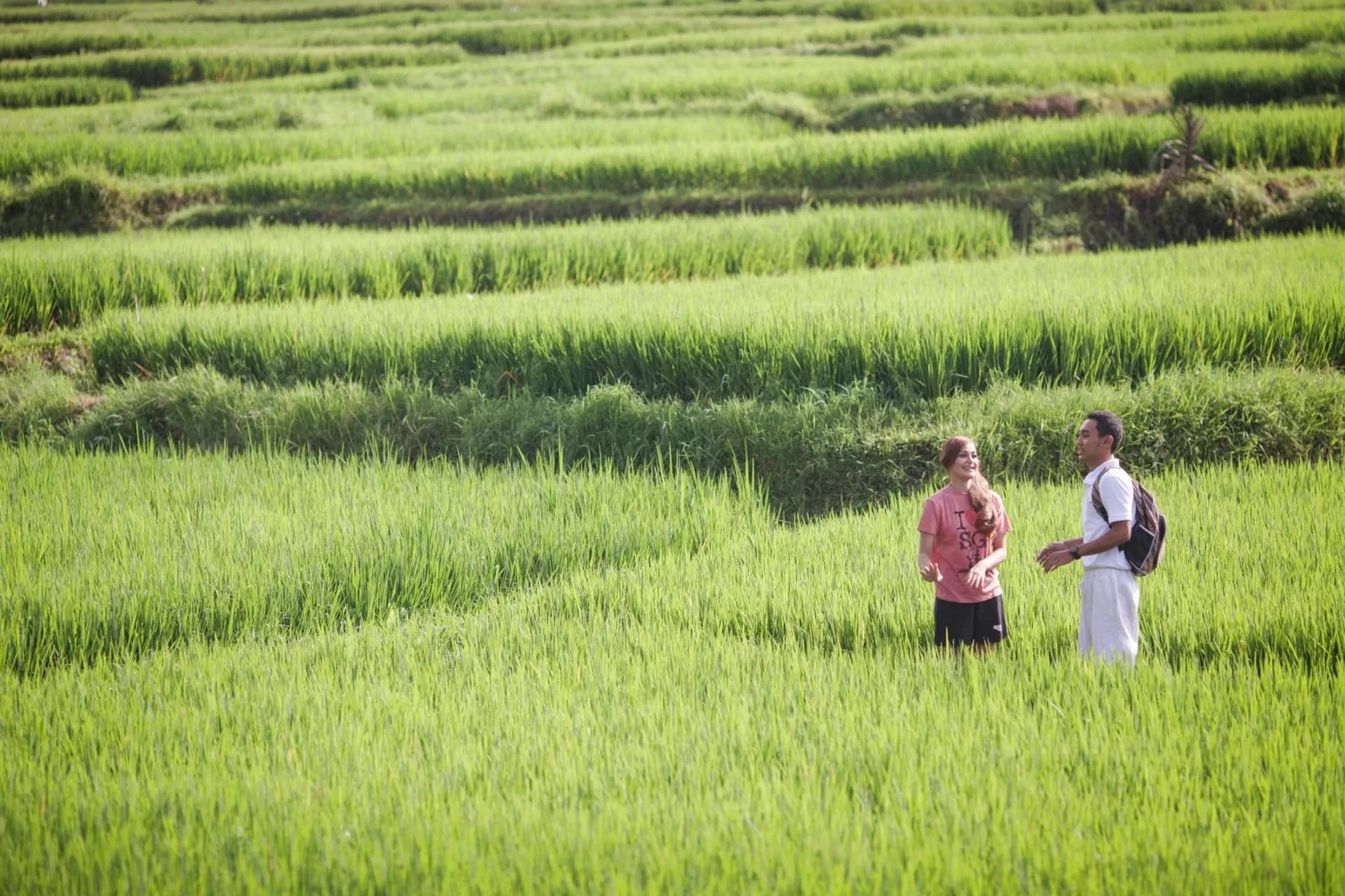 Bird's eye view in Manyi Village Ubud