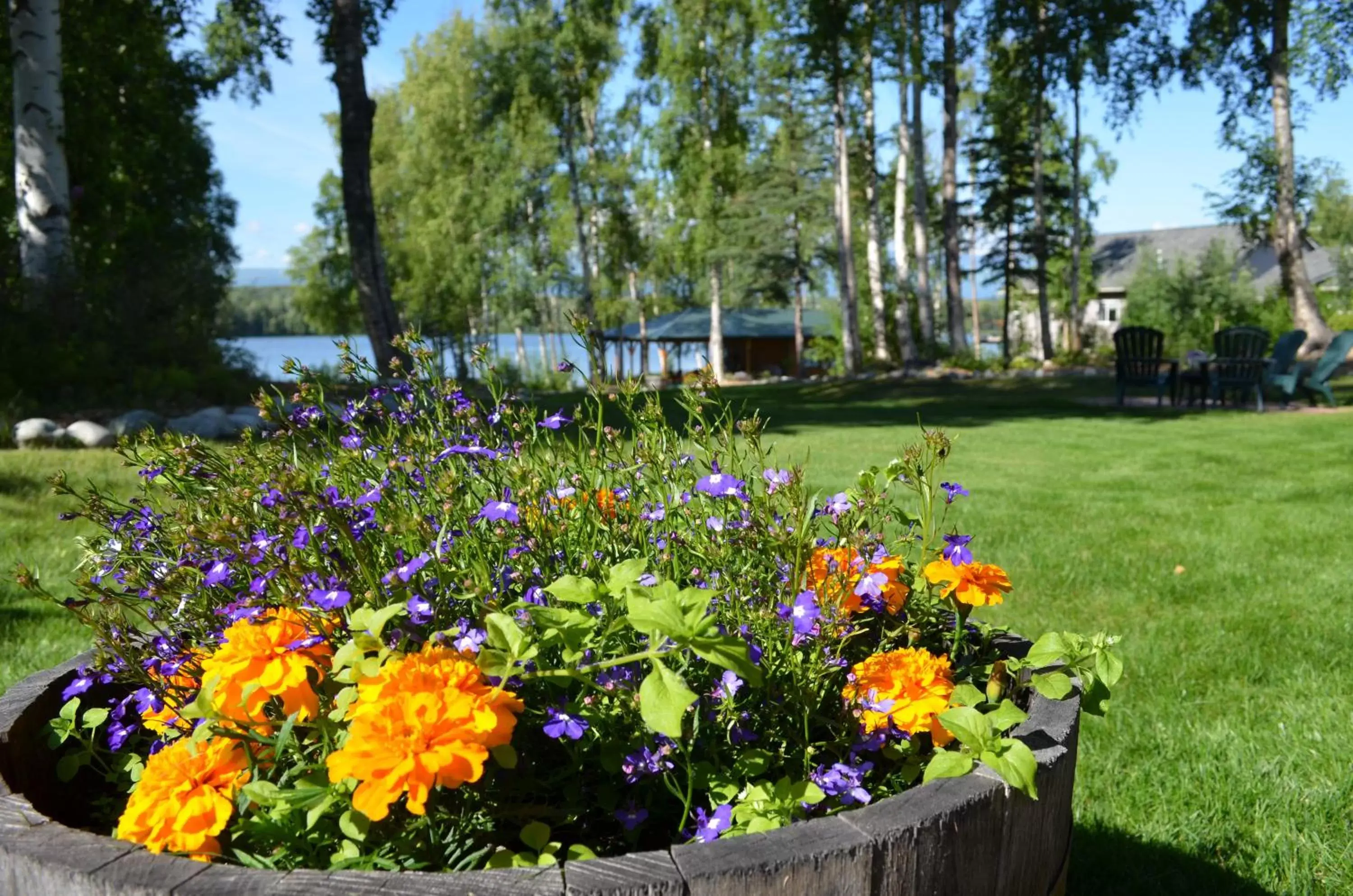 Garden view, Garden in Alaska's Lake Lucille Bed & Breakfast