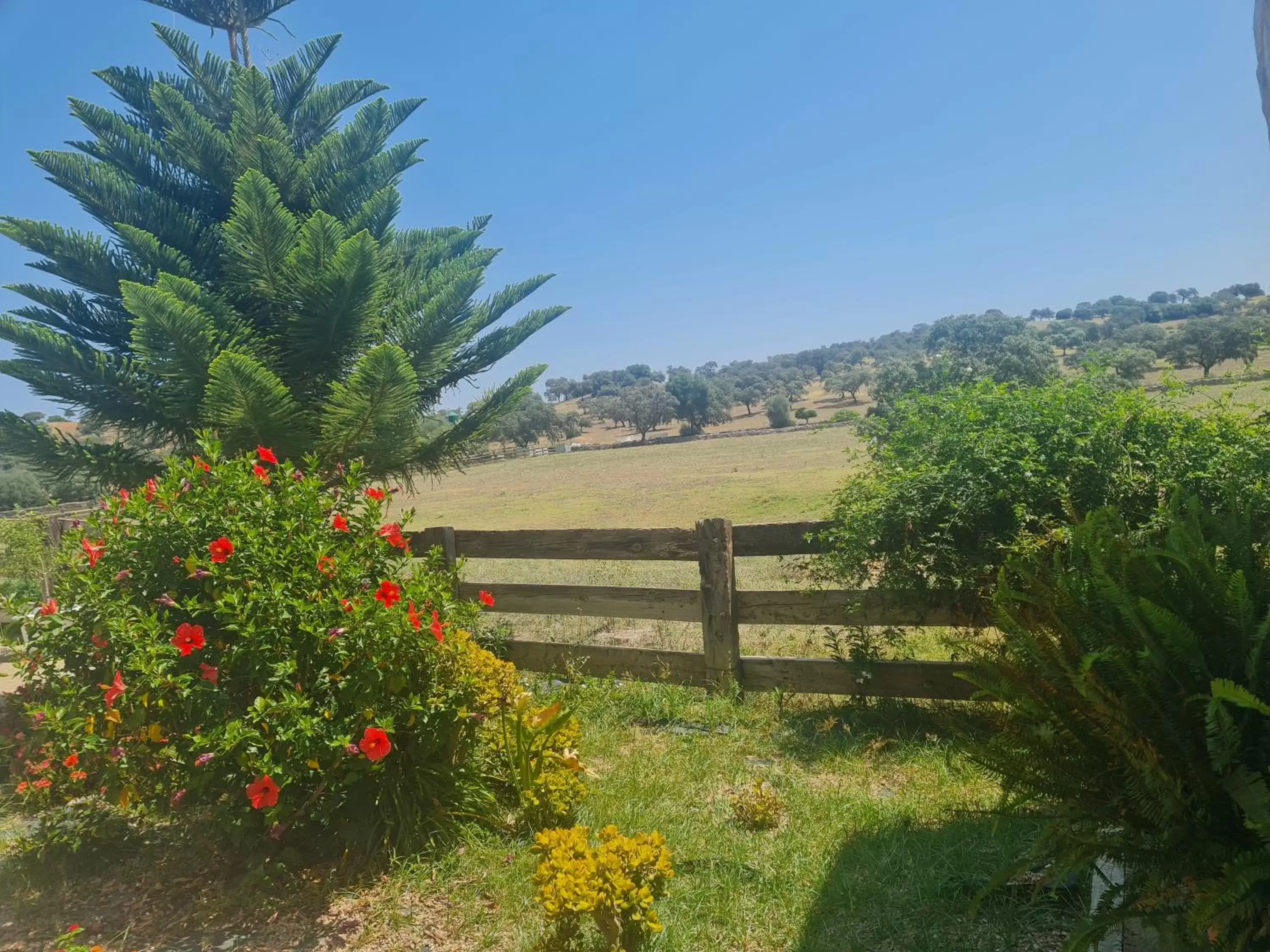 Landmark view, Garden in Alojamiento Rural Finca Barral