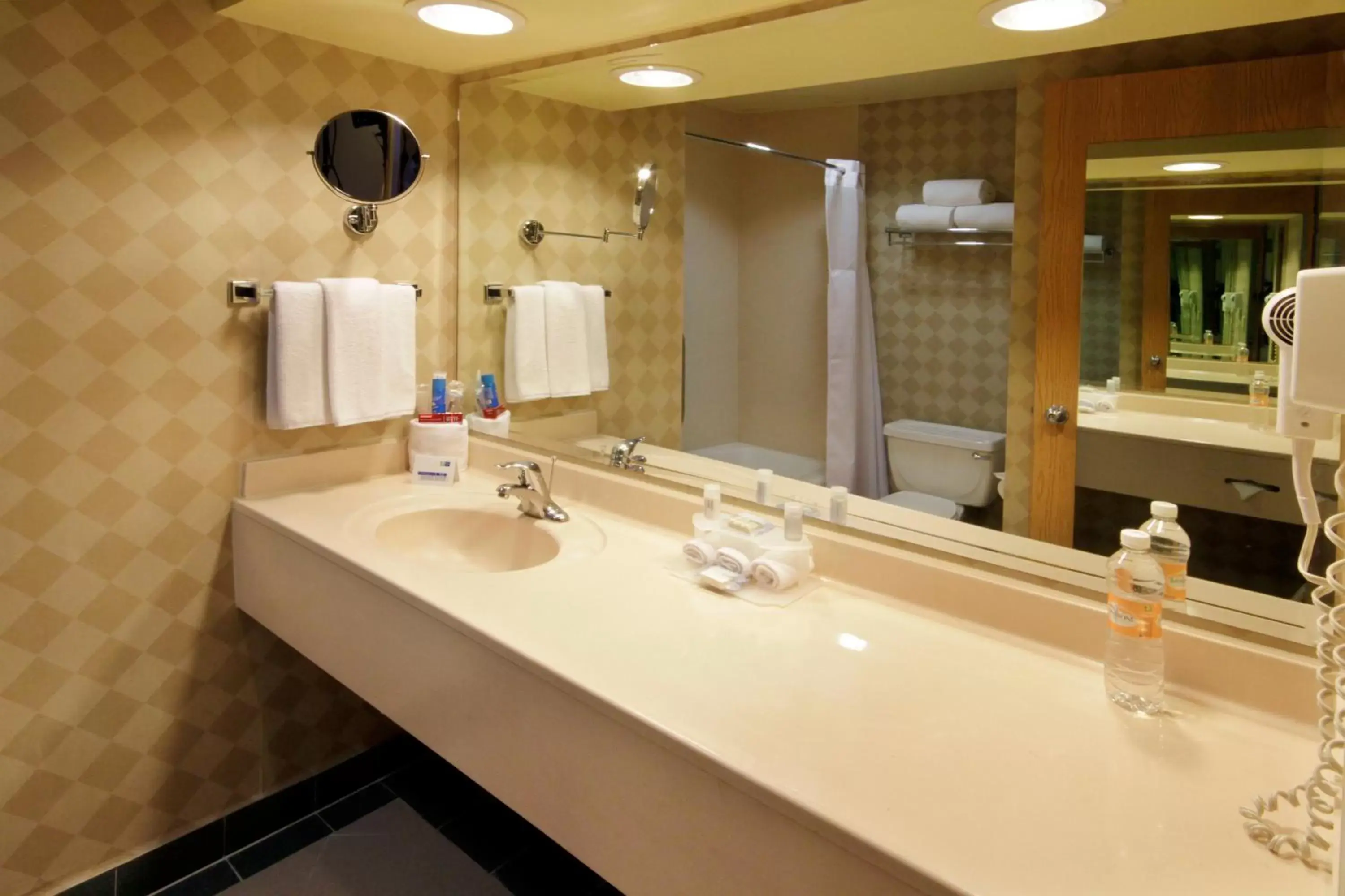 Bathroom in Holiday Inn Express Torreon, an IHG Hotel