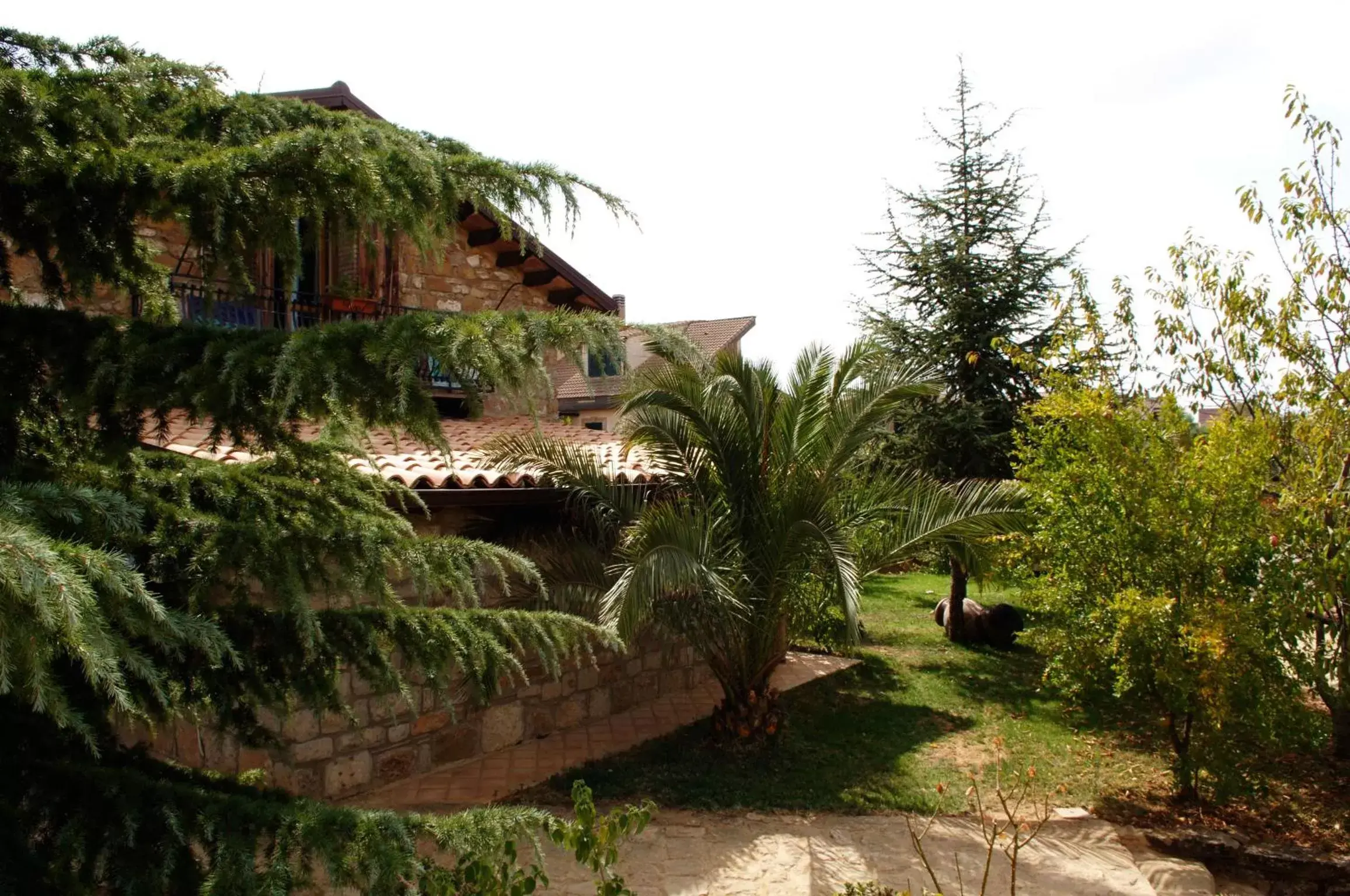 Garden in La Casa sulla Collina d'Oro