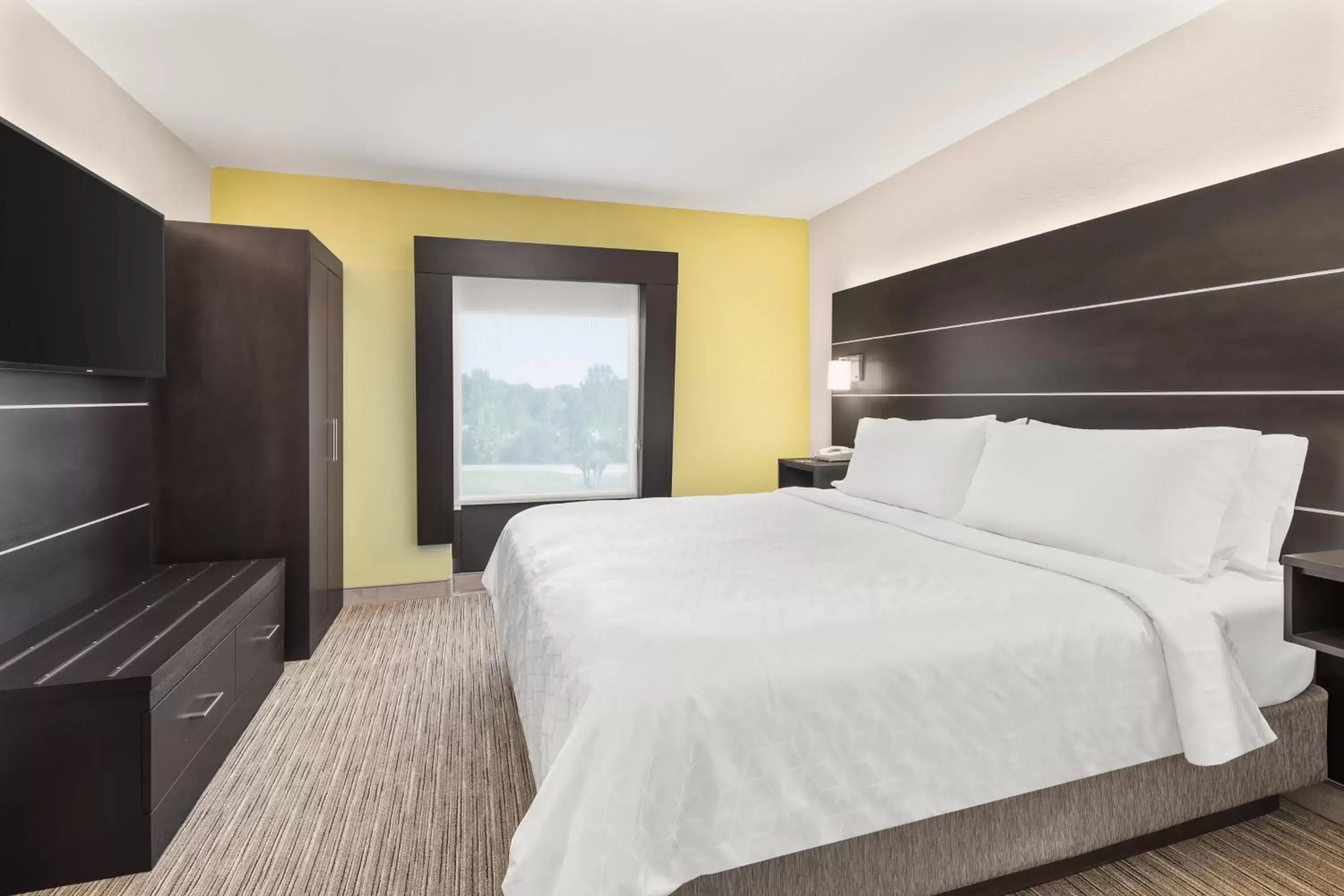 Photo of the whole room, Bed in Holiday Inn Express Hotels & Suites Greenville-Spartanburg/Duncan, an IHG Hotel