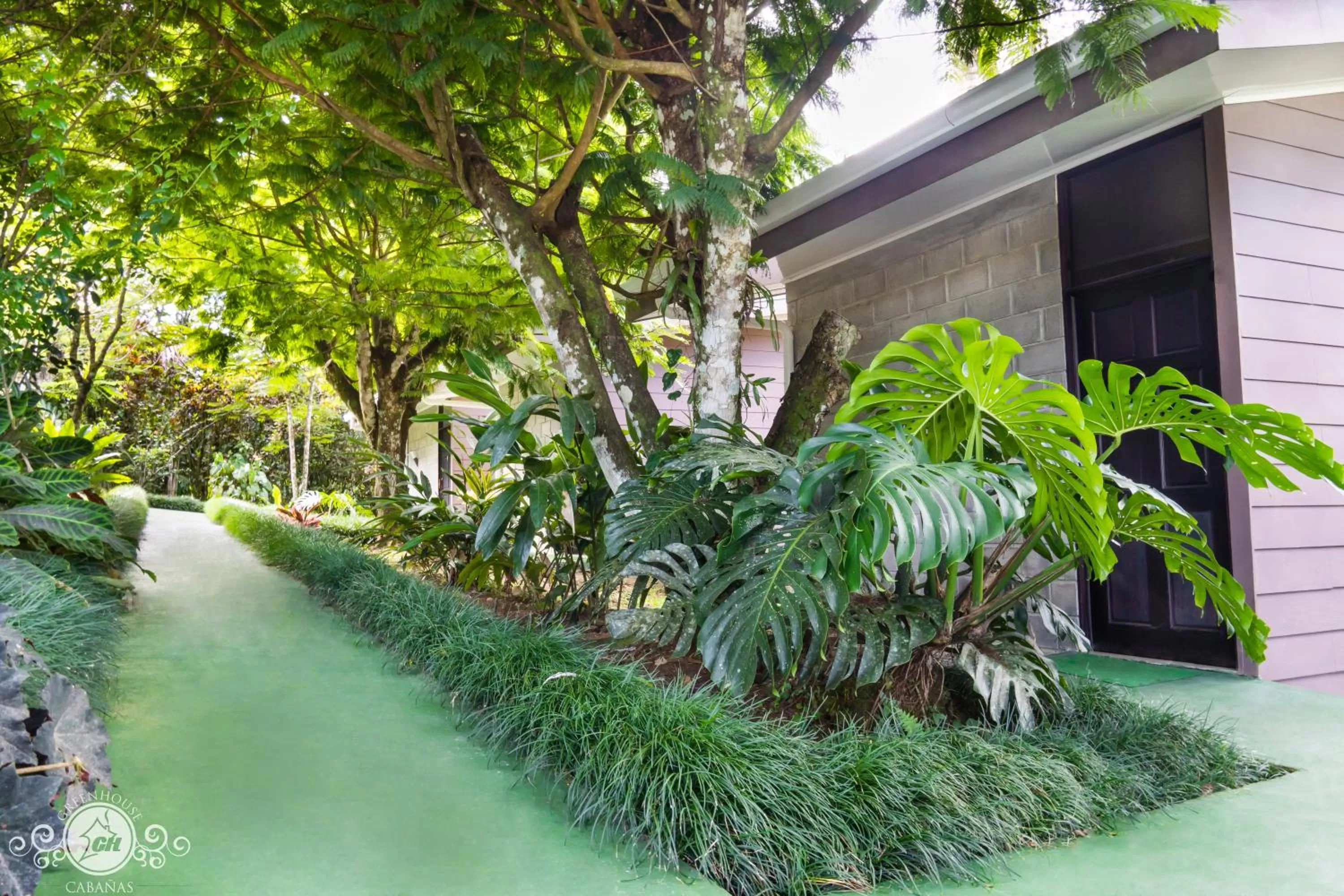 Natural landscape in Cabañas Green House