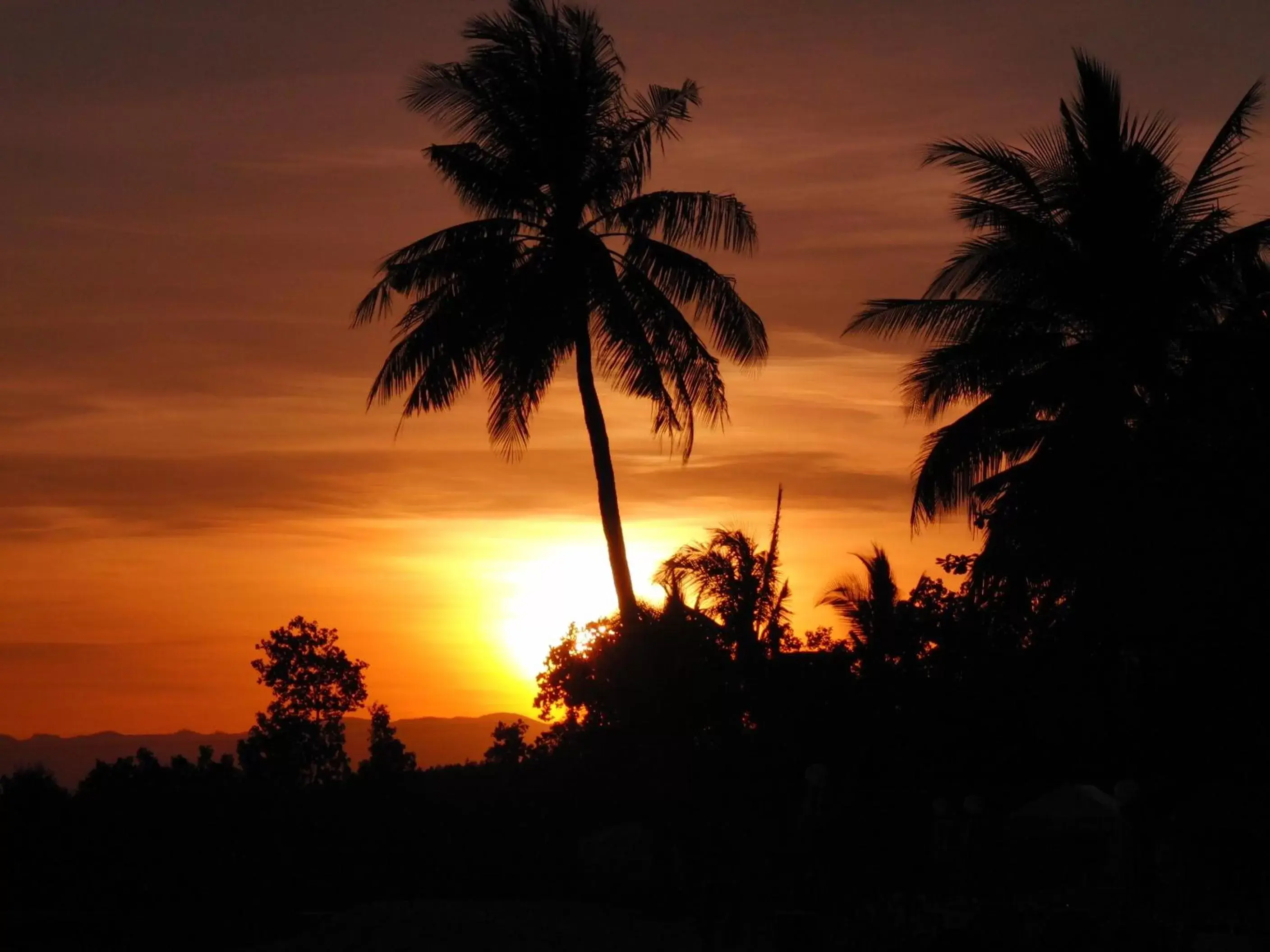 Night, Sunrise/Sunset in Badian Island Wellness Resort