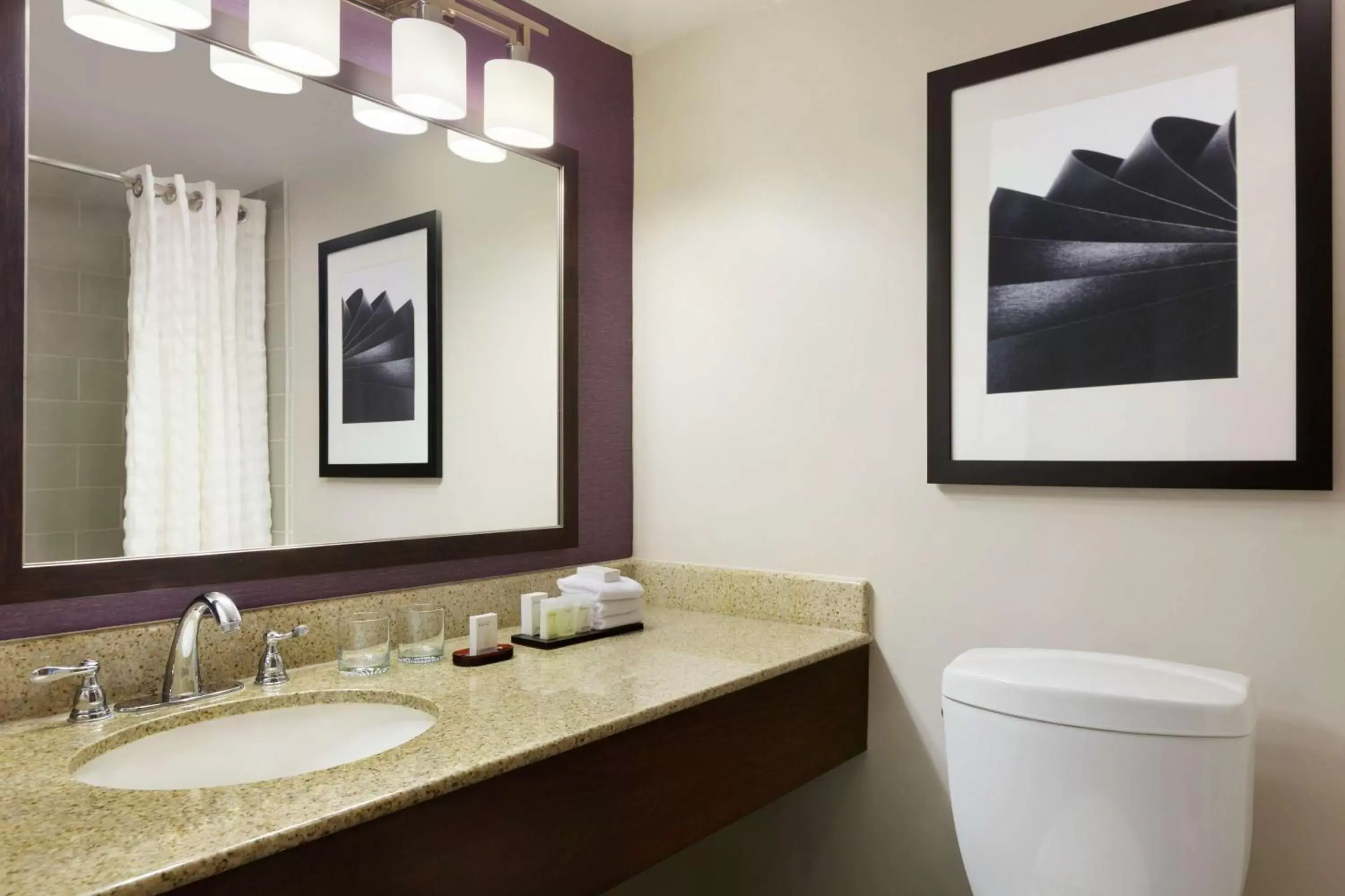 Bathroom in Embassy Suites by Hilton Santa Ana Orange County Airport