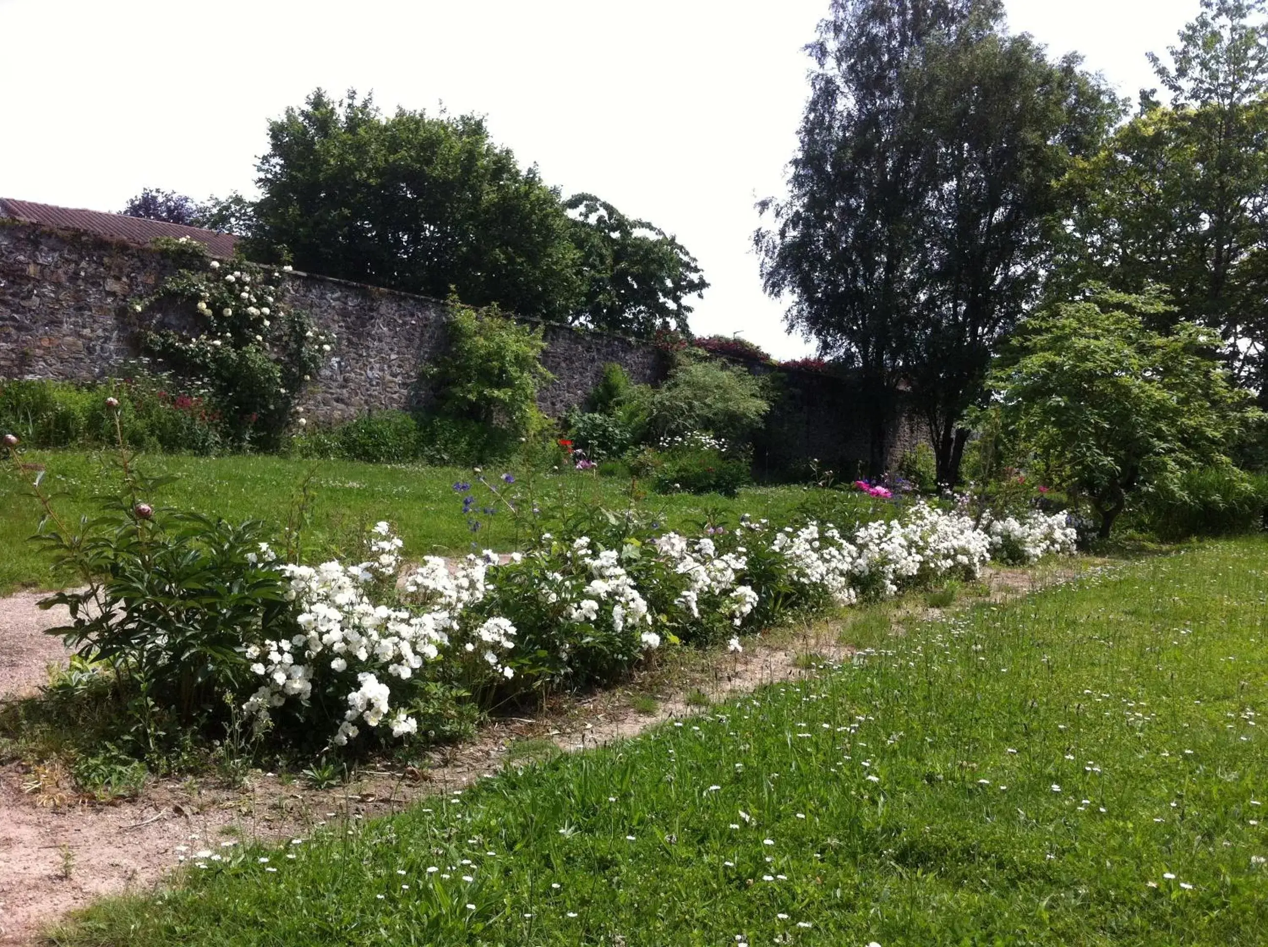 Garden in Le Clos de La Muse