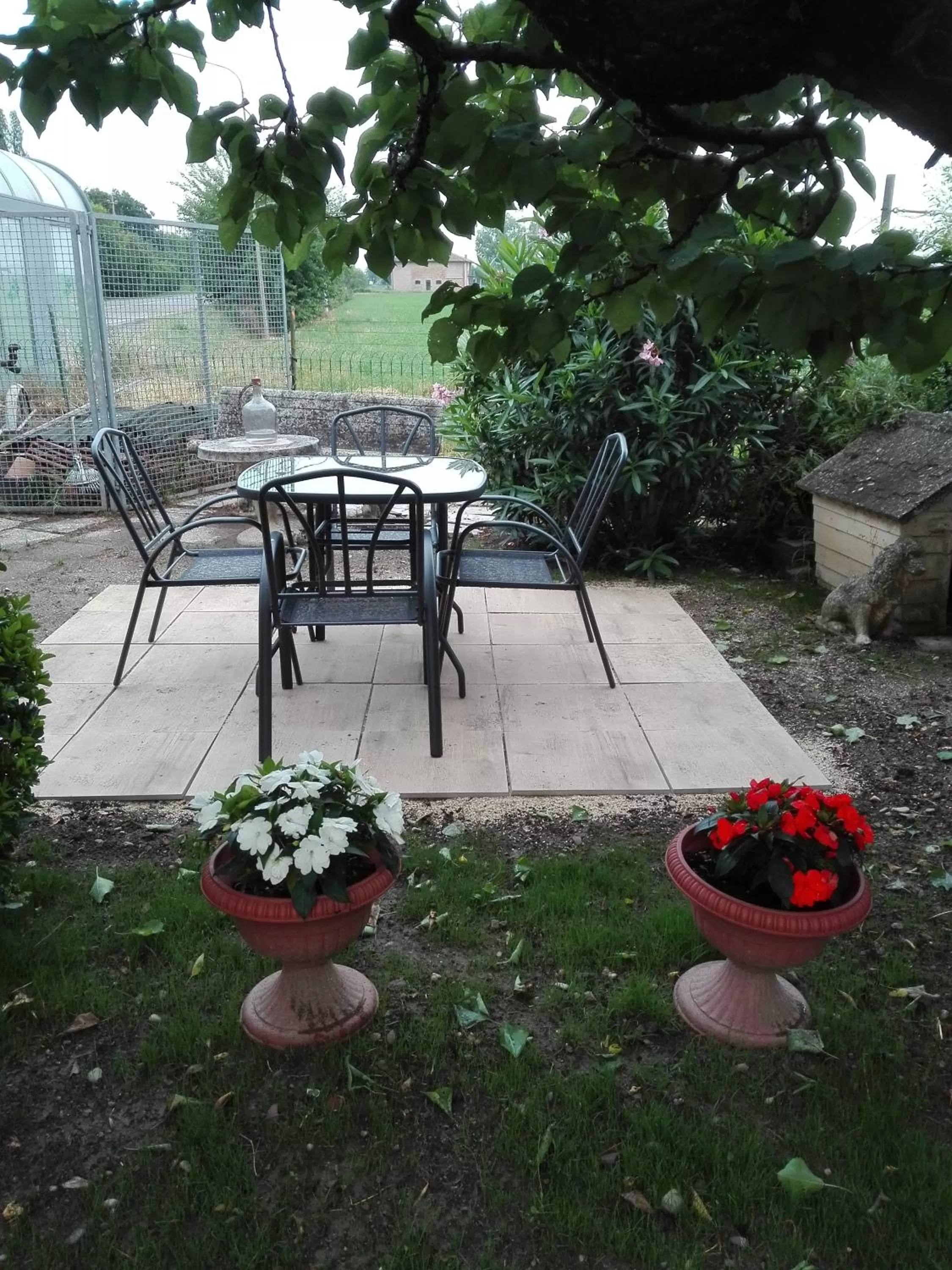 Garden in B&B "Il Cantastorie" Casa Molinari-Boldrini - Room & breakfast