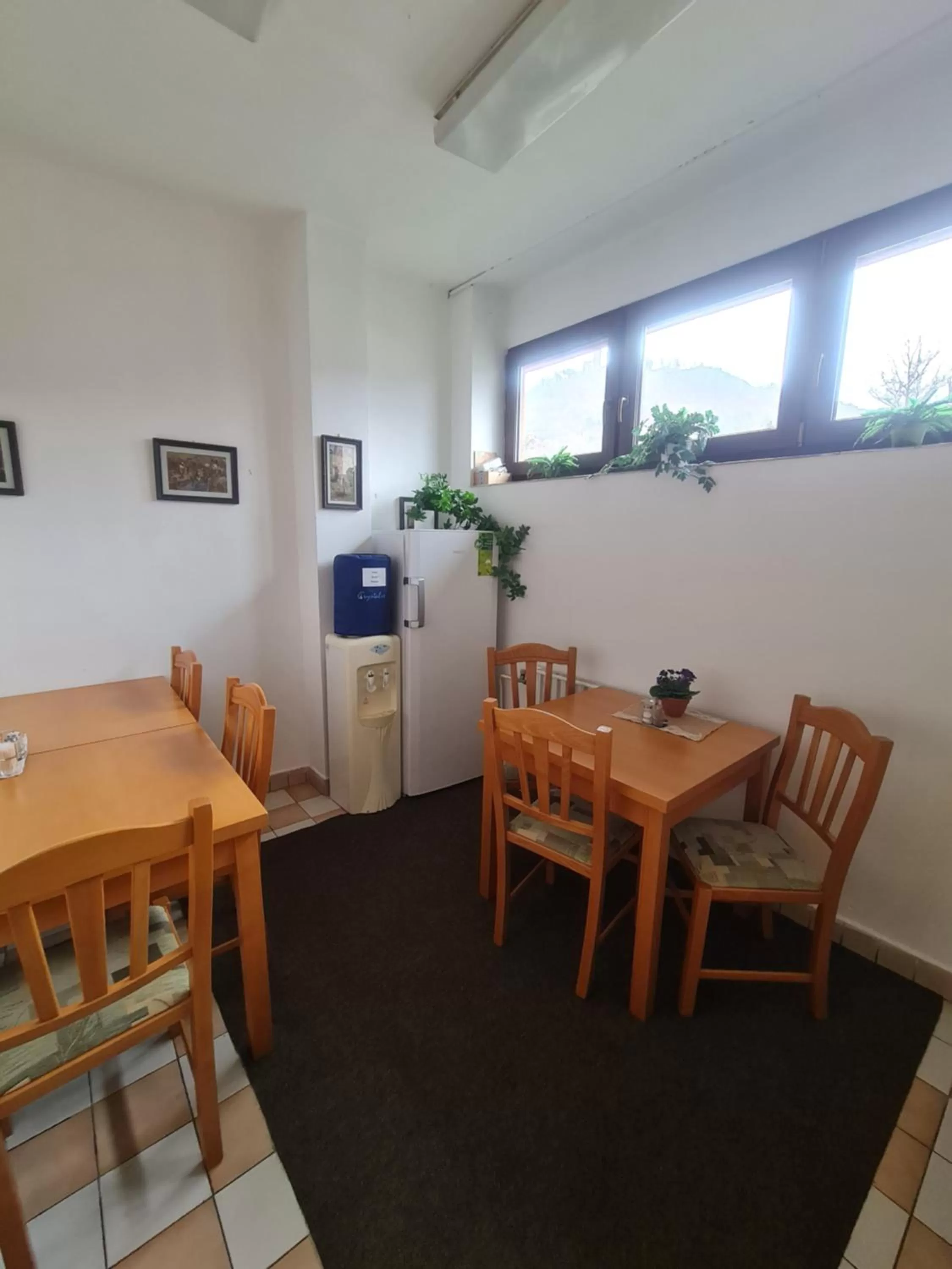 Kitchen or kitchenette in garni Hotel ASAS***