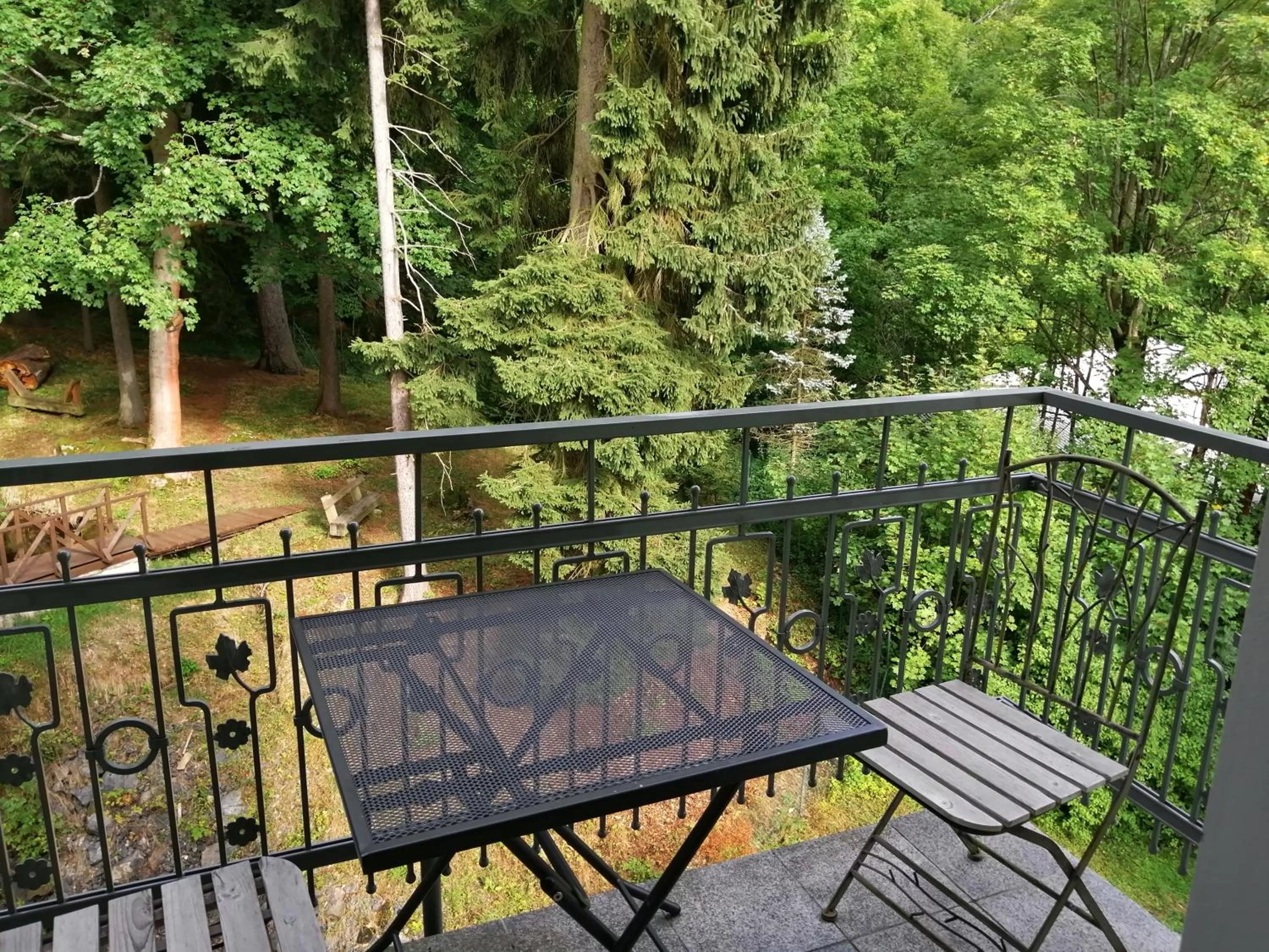 Lake view in Parkhotel Forest