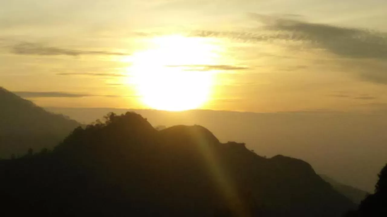 Maple home stay and cottage