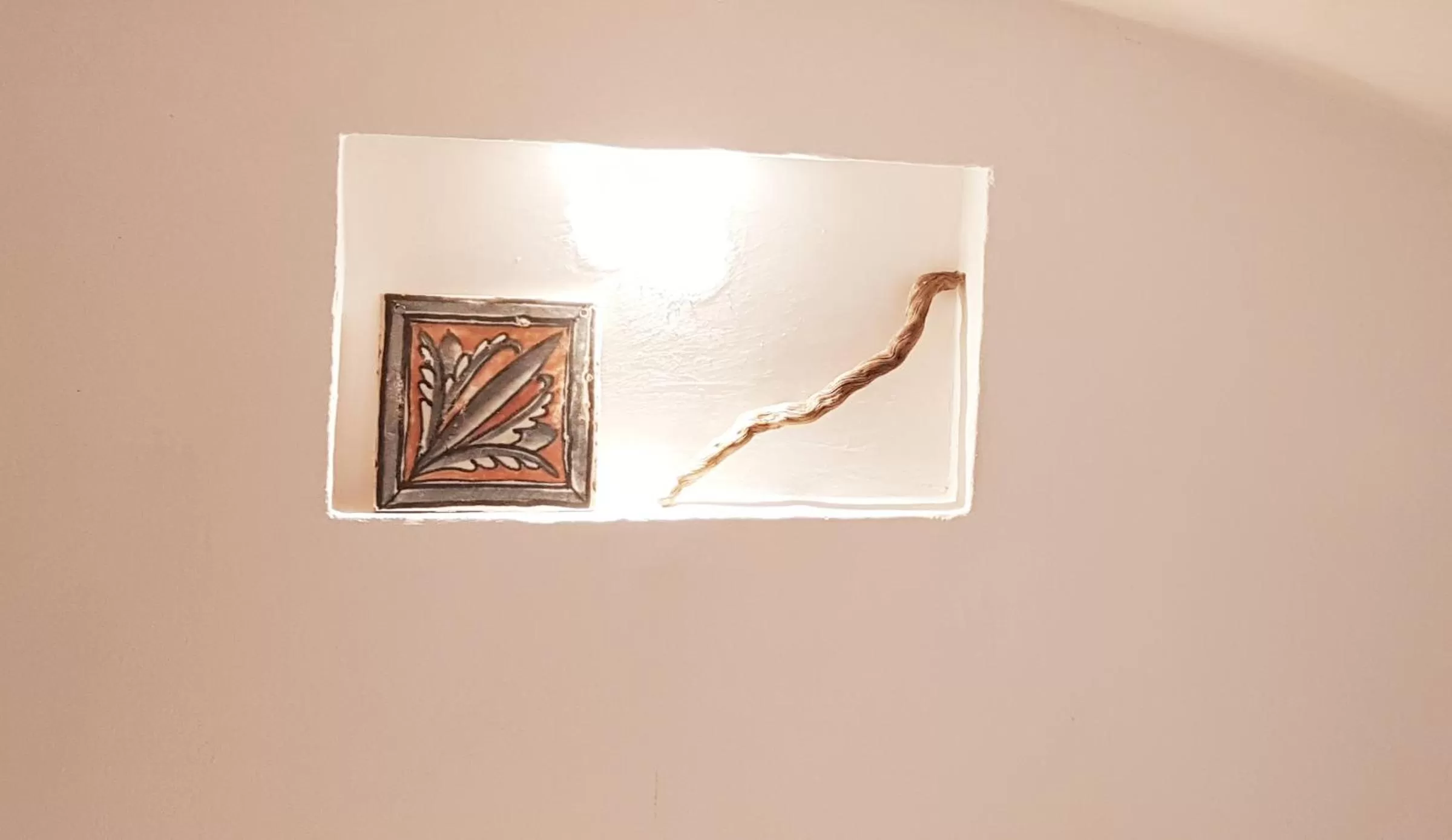 Logo/Certificate/Sign in Corte Moline