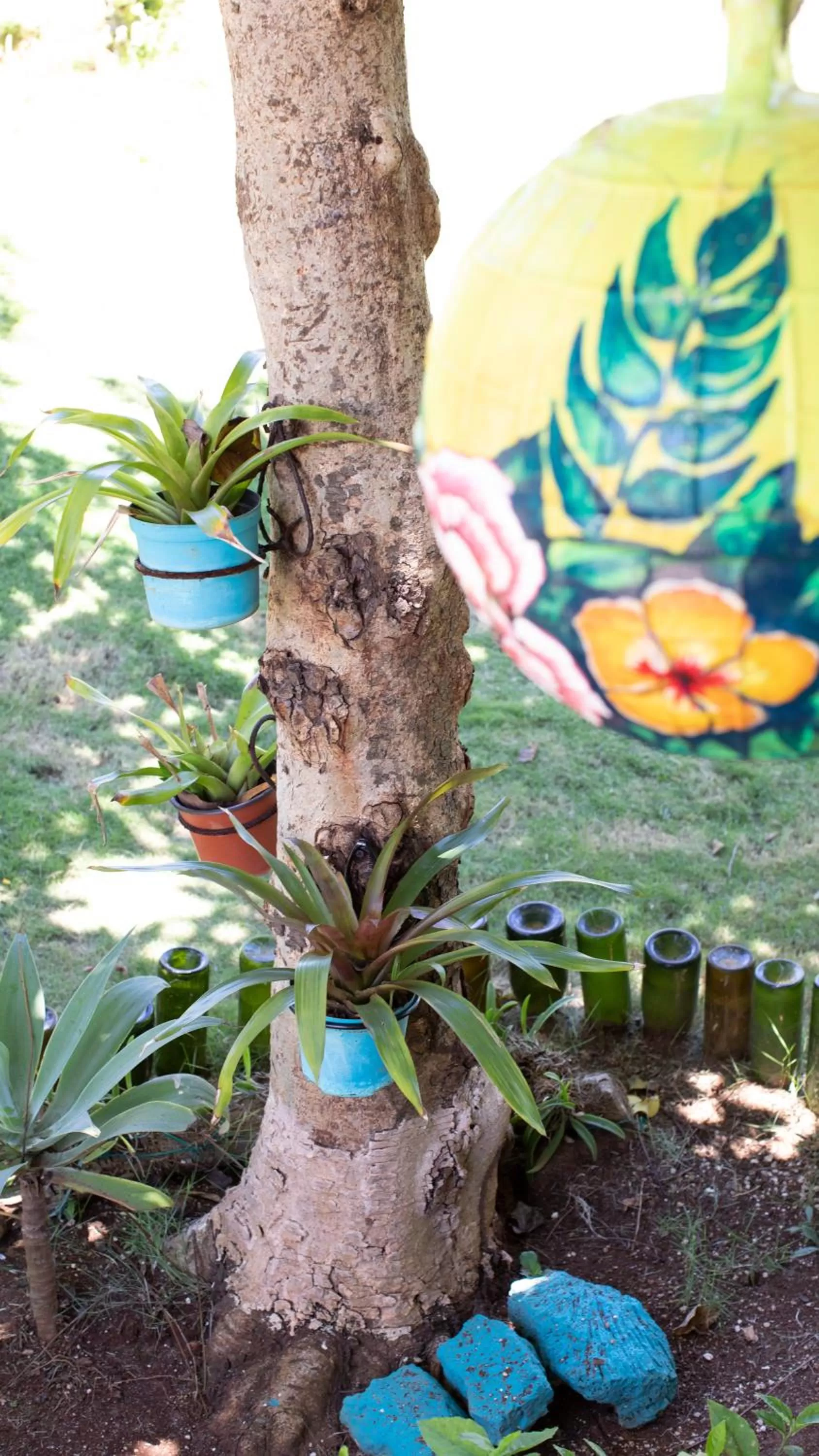 Garden in Hosteria Mar y Sol