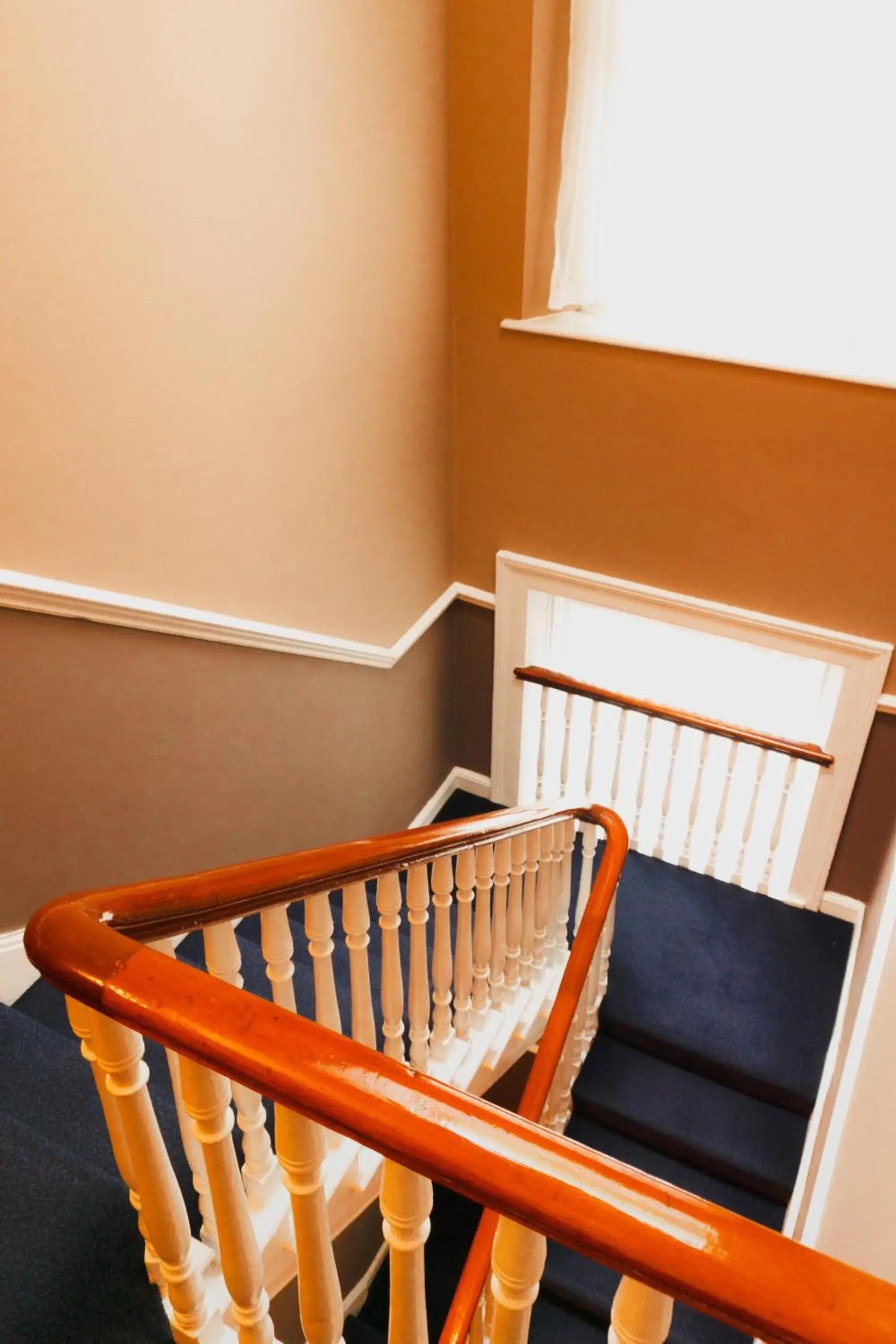 Other, Bunk Bed in Phoenix Park Hotel