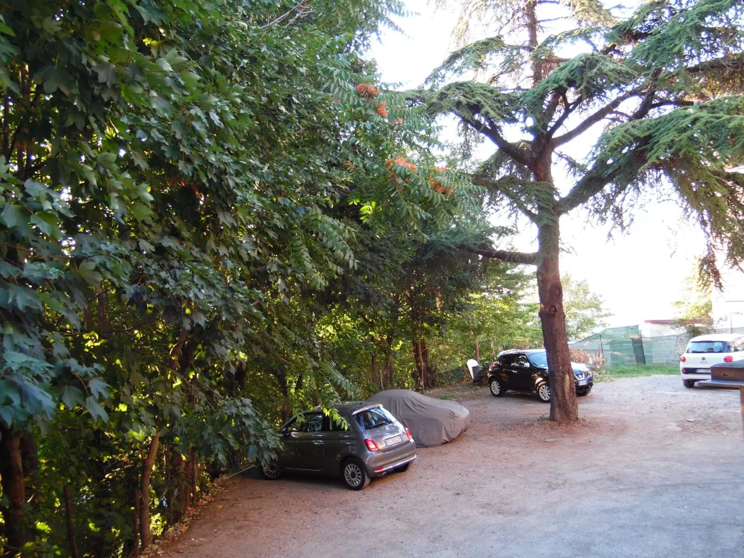 Area and facilities in Albergo Ristorante La Torretta