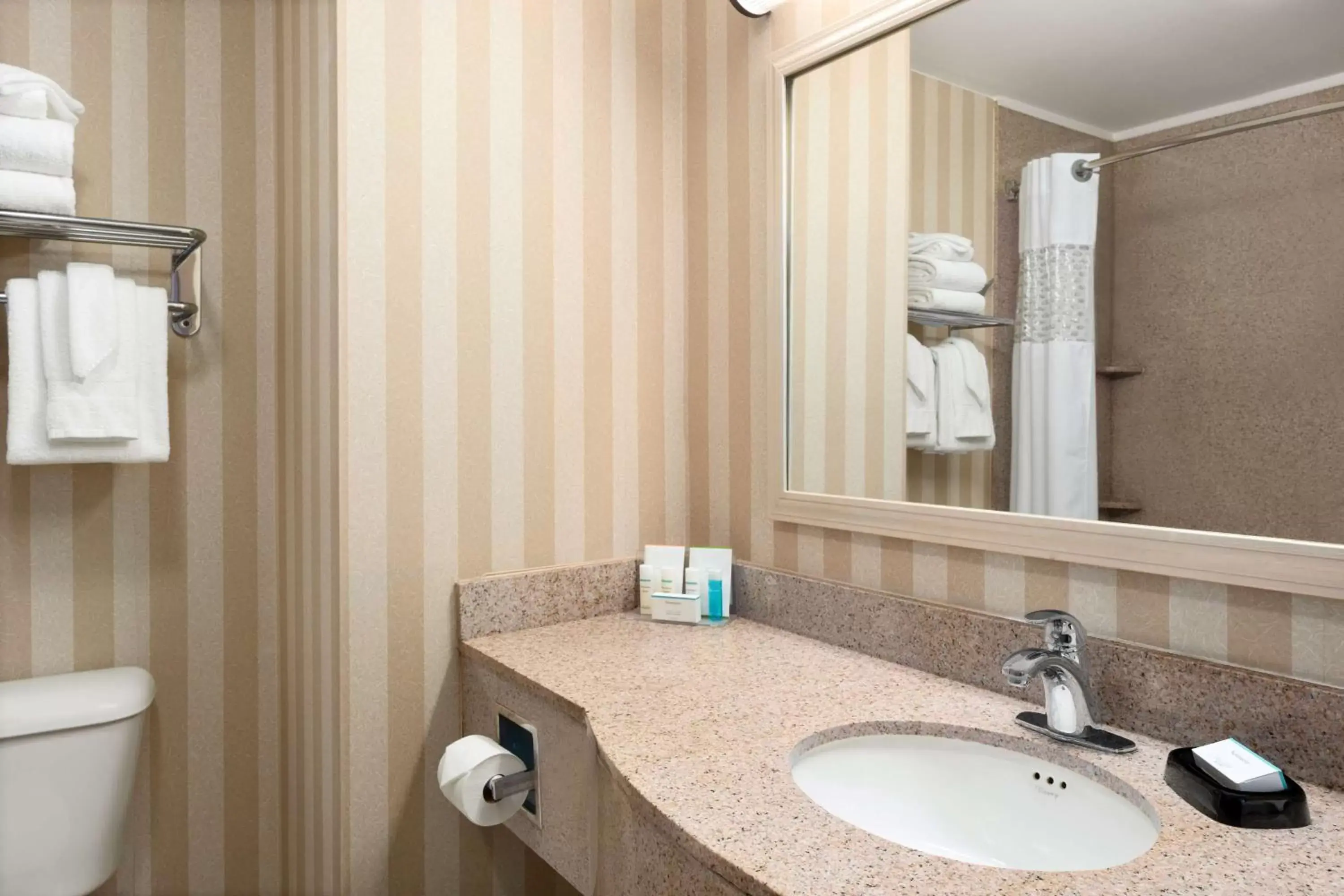 Bathroom in Hampton Inn & Suites Detroit Sterling Heights