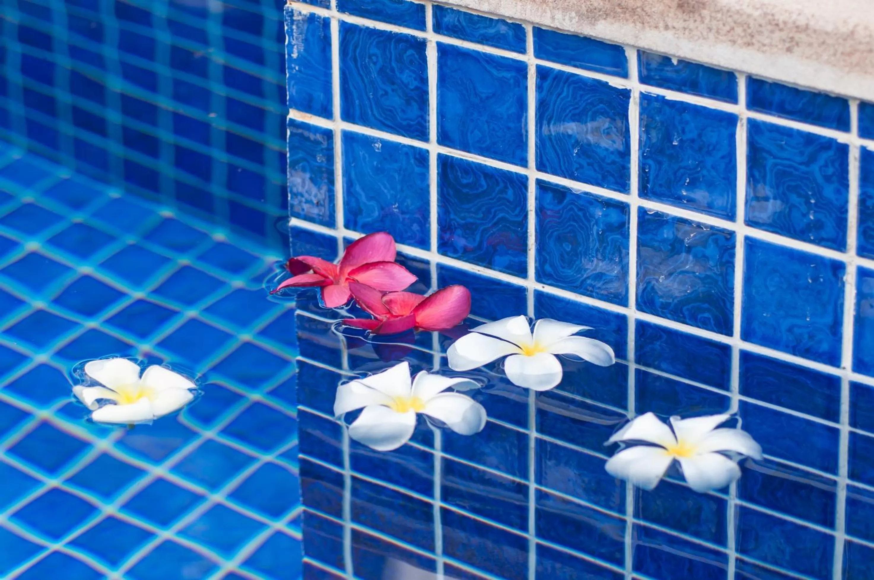 Decorative detail in Landing Gold by Amatak