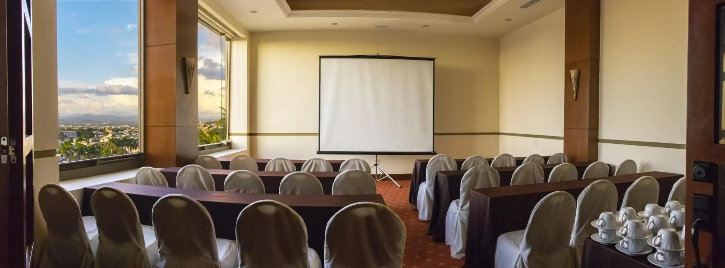 Business facilities in Hotel San Luis Lindavista