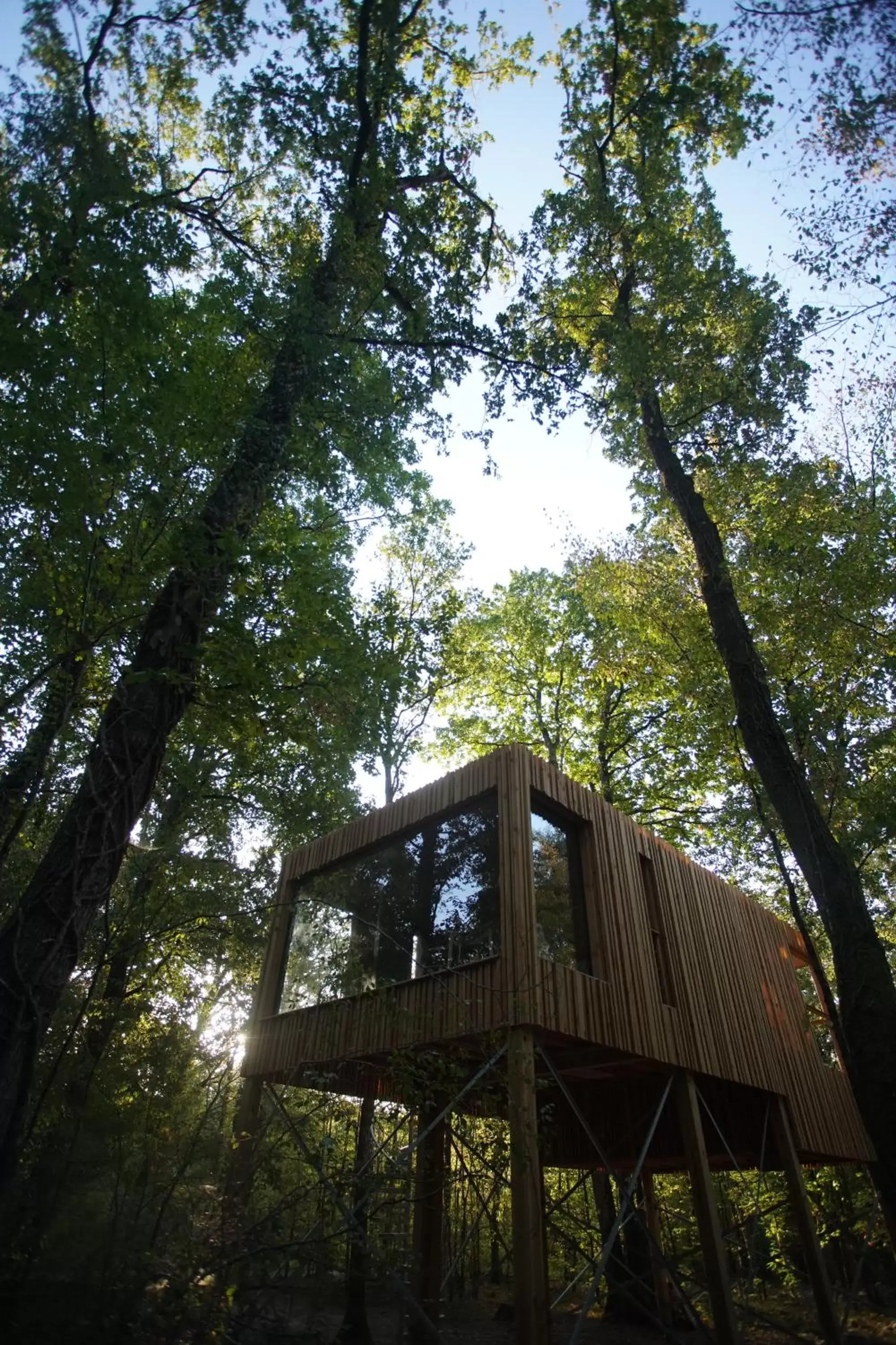 Suite with Hot Tub in Loire Valley Lodges - Hotel