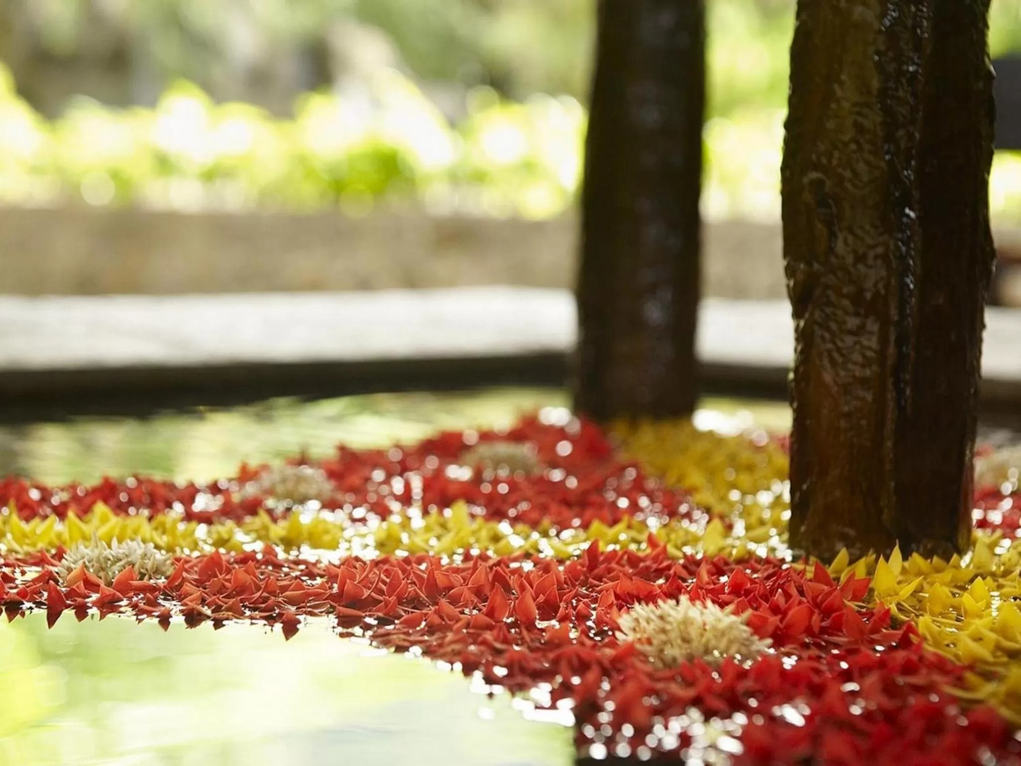 Spa and wellness centre/facilities in Fisherman's Cove Resort - closed for complete renovation - Visit our sister property STORY Seychelles for your stay