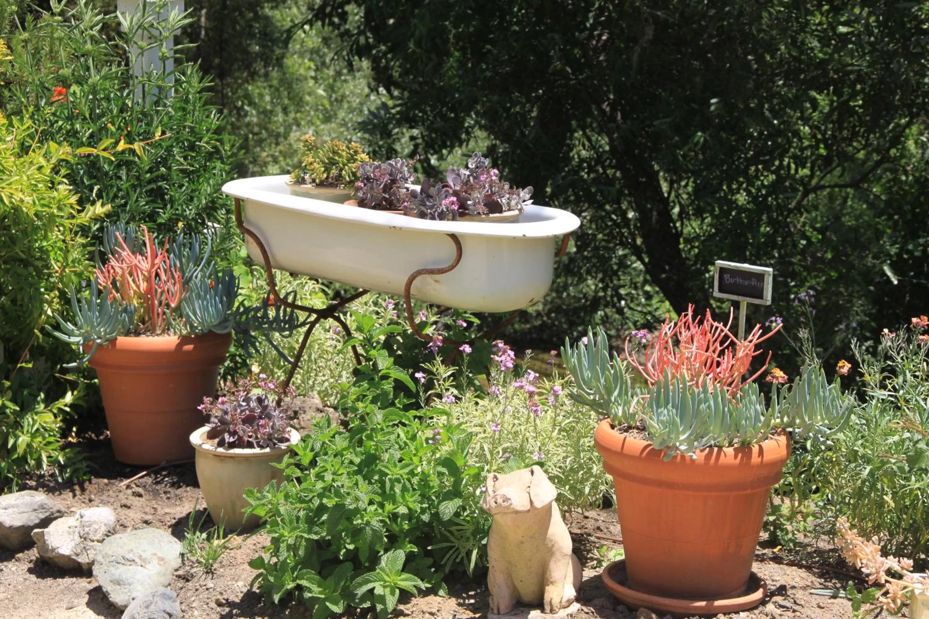 Olallieberry Inn Bed and Breakfast