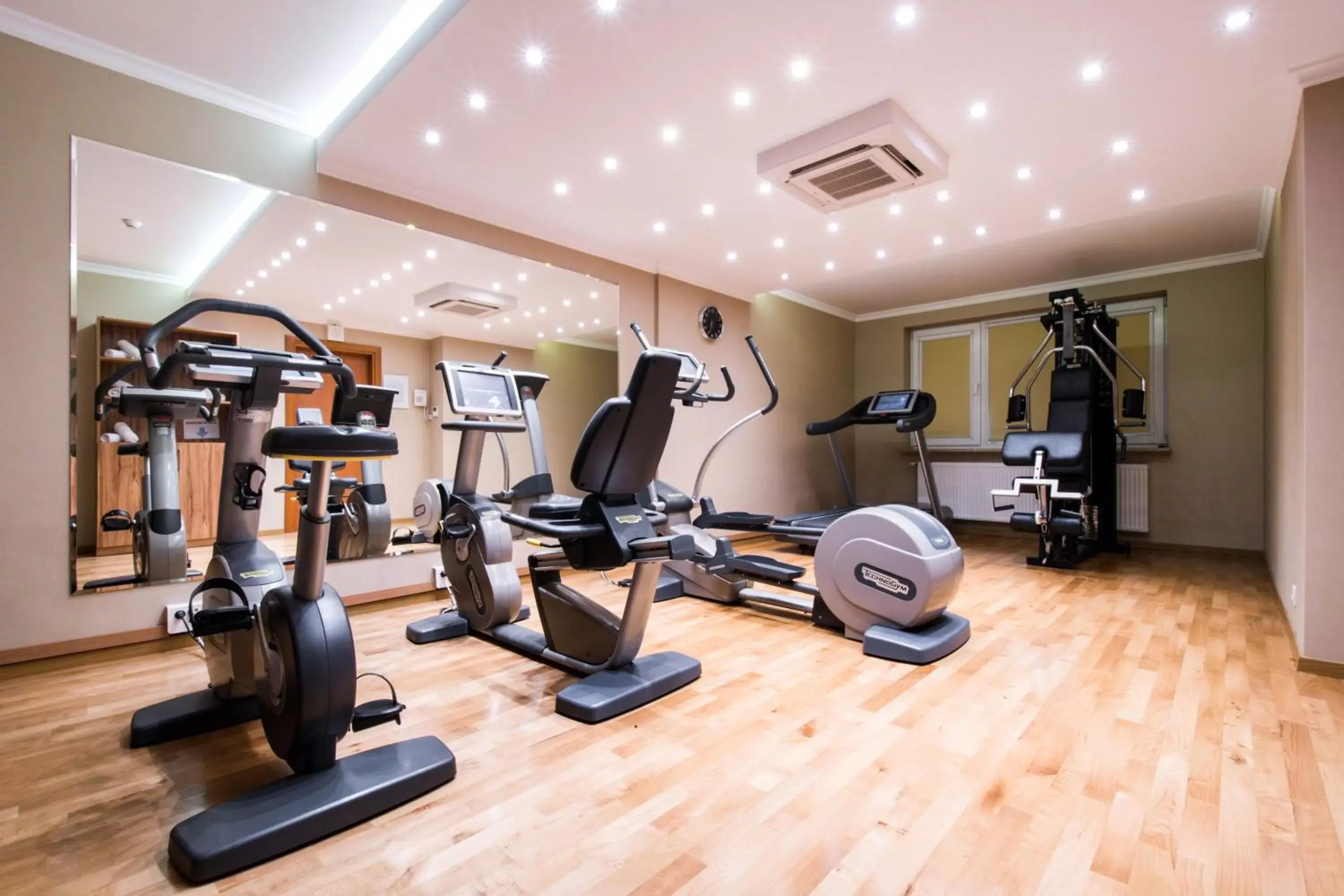 Fitness centre/facilities, Fitness Center/Facilities in Hotel Boss