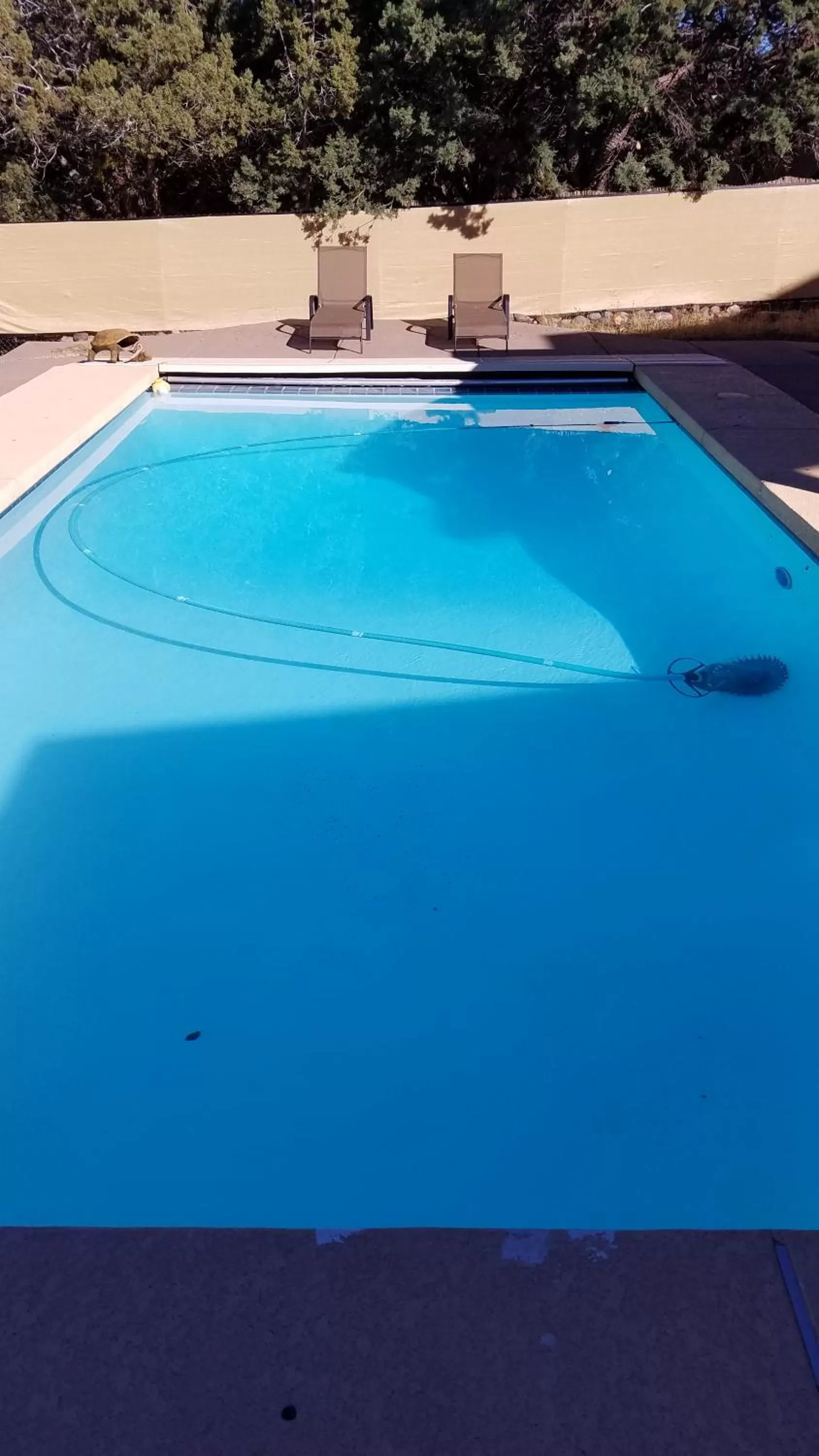 Swimming pool in Ronnie's Resort