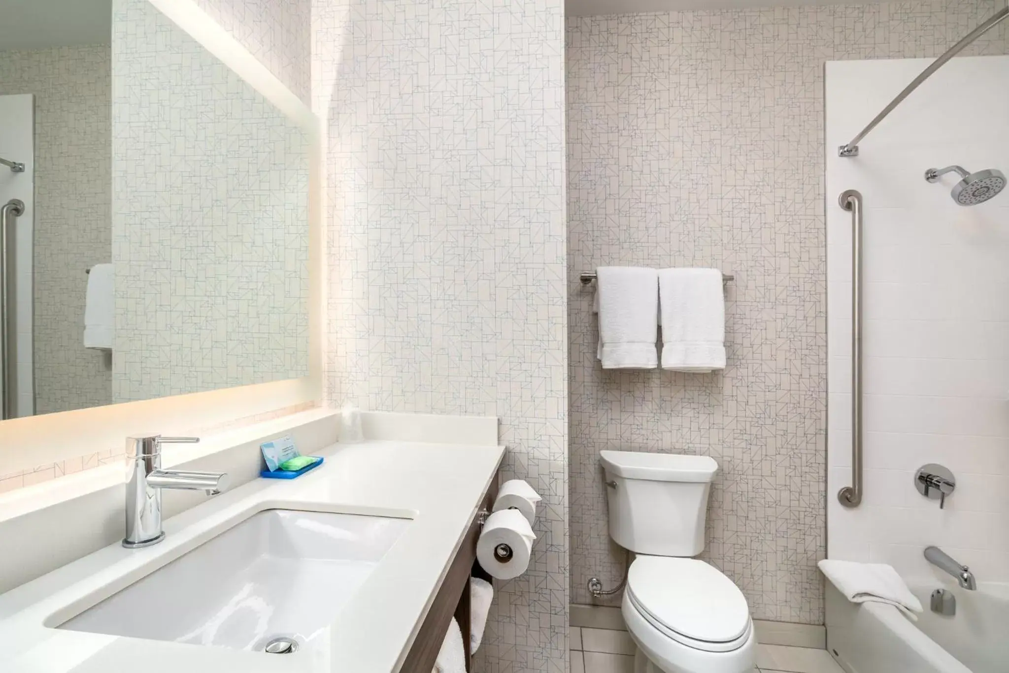 Photo of the whole room, Bathroom in Holiday Inn Express & Suites - Brandon, an IHG Hotel