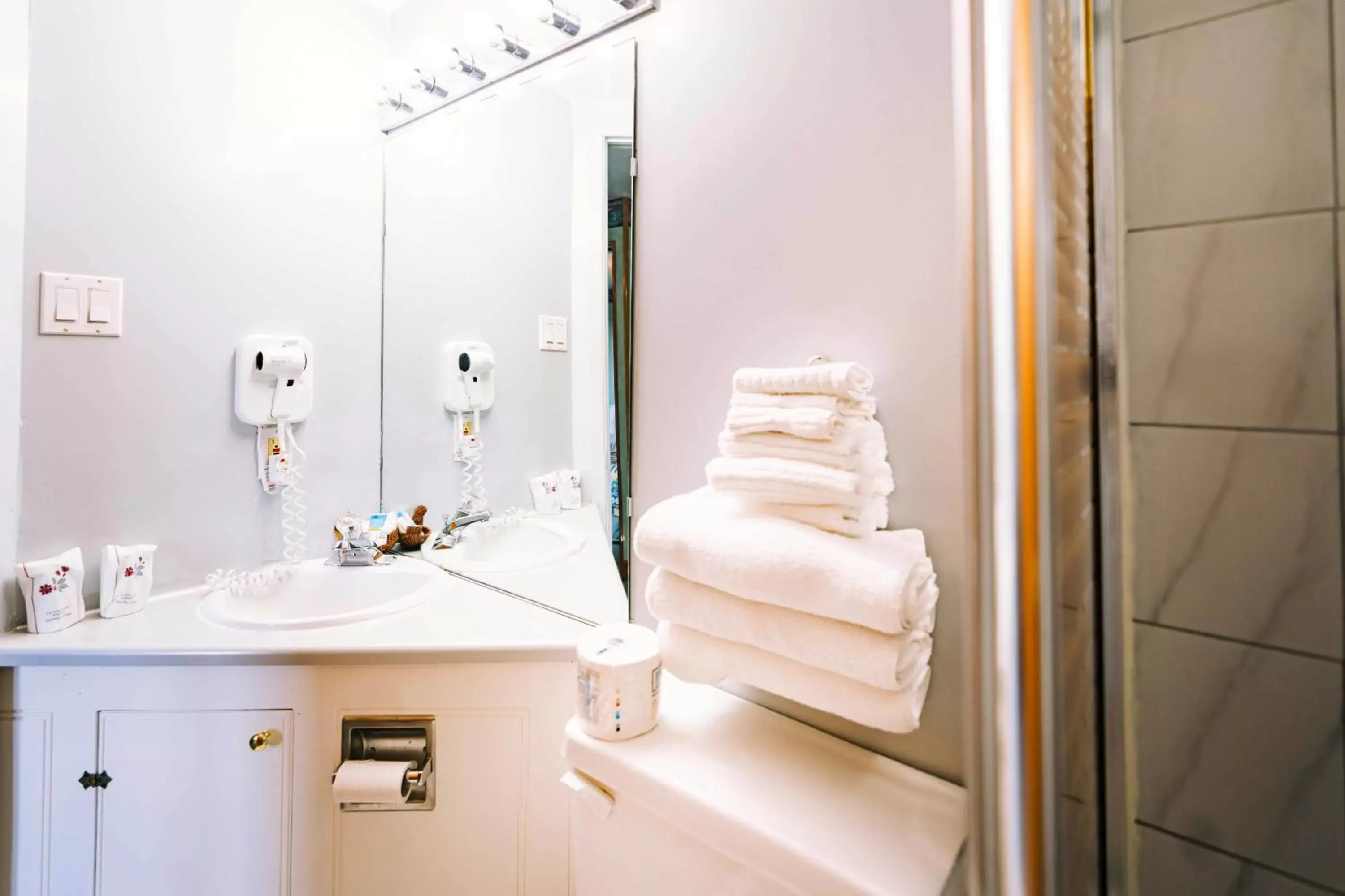 Bathroom in Auberge Harris