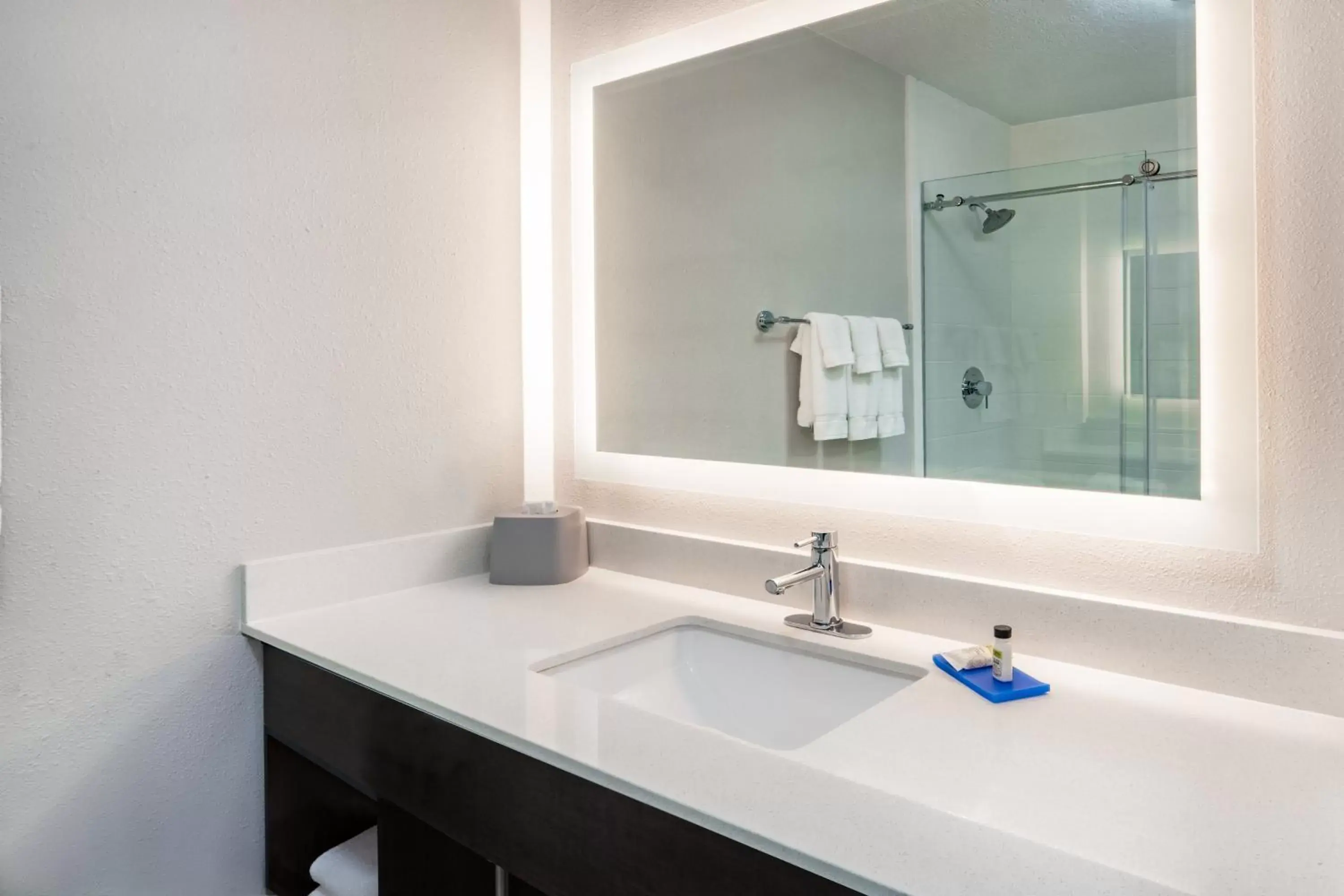 Bathroom in Holiday Inn Express Hotel & Suites Albuquerque - North Balloon Fiesta Park by IHG Bathroom in Holiday Inn Express Hotel & Suites Albuquerque - North Balloon Fiesta Park by IHG