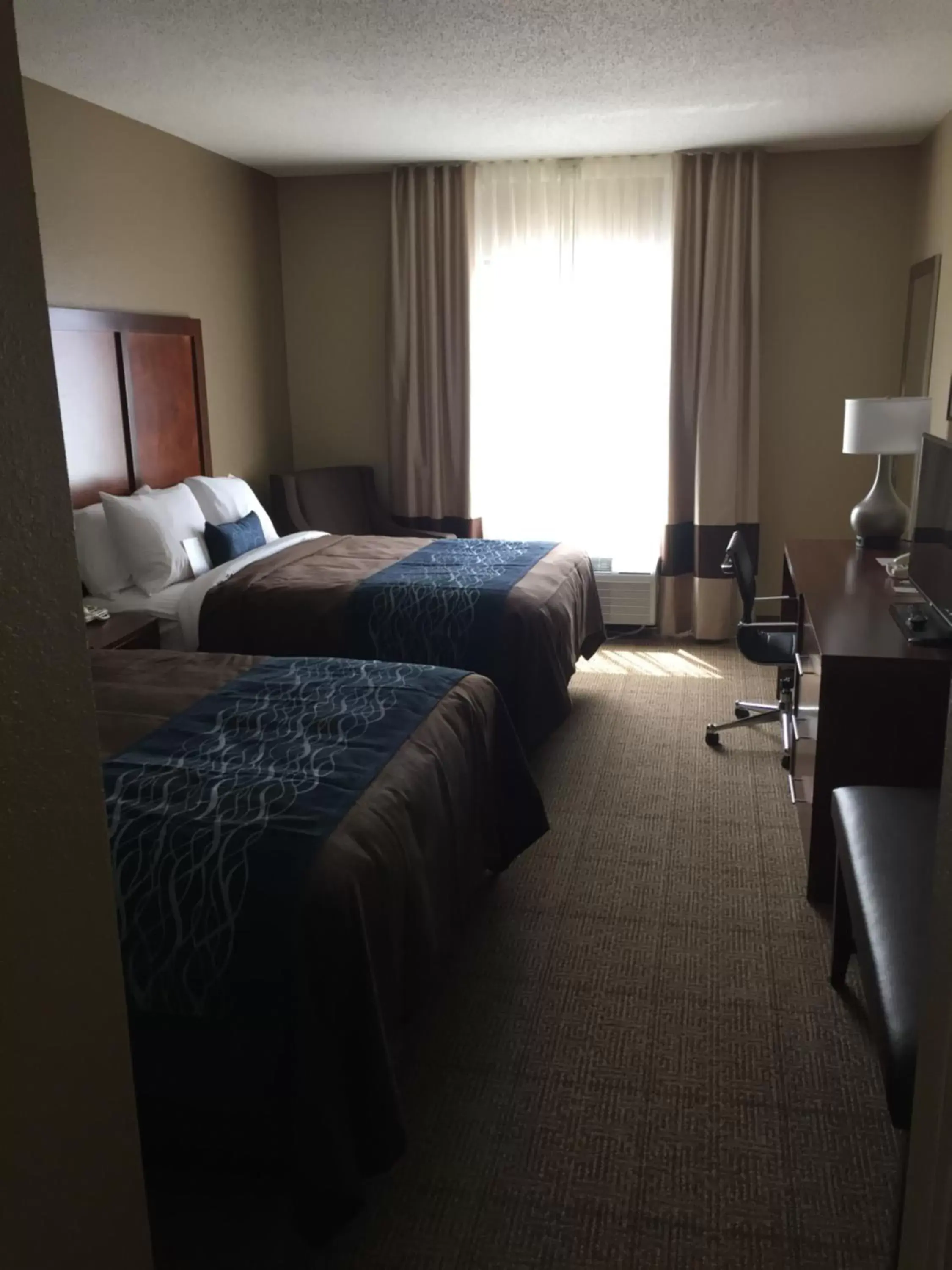 Bed in Comfort Inn & Suites Lynchburg Airport - University Area