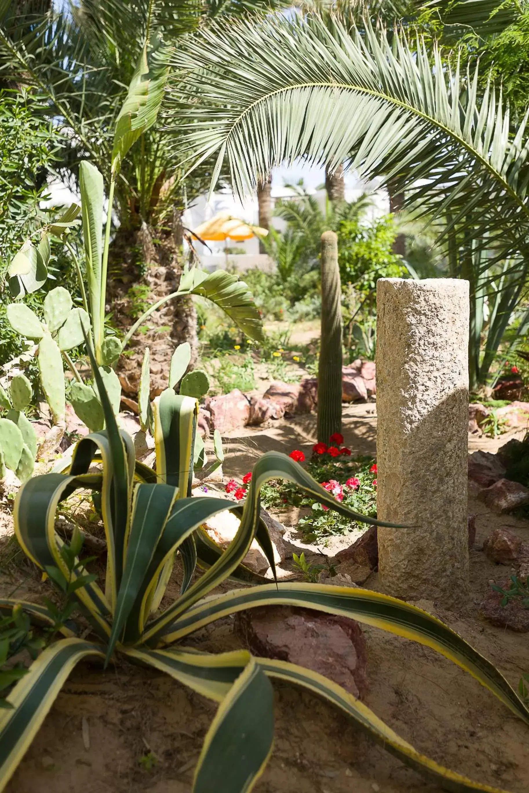 Garden in The Sindbad